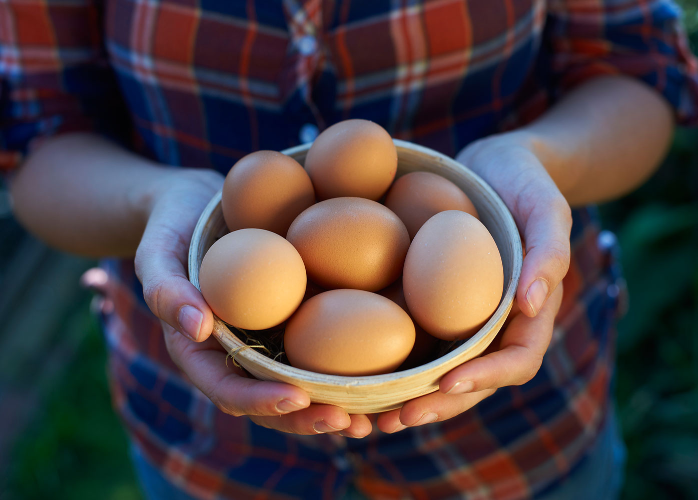 Stock photo of eggs