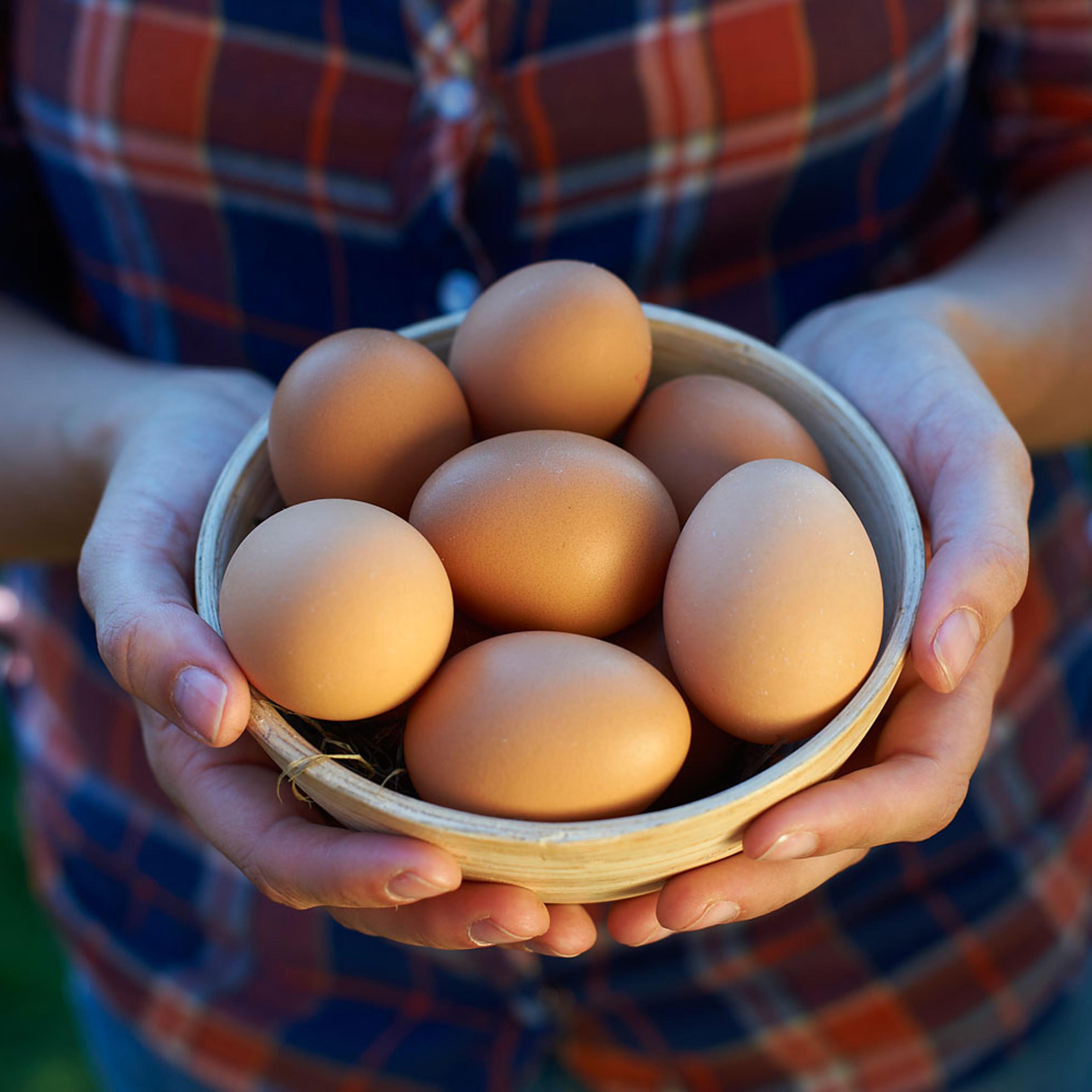 Stock photo of eggs