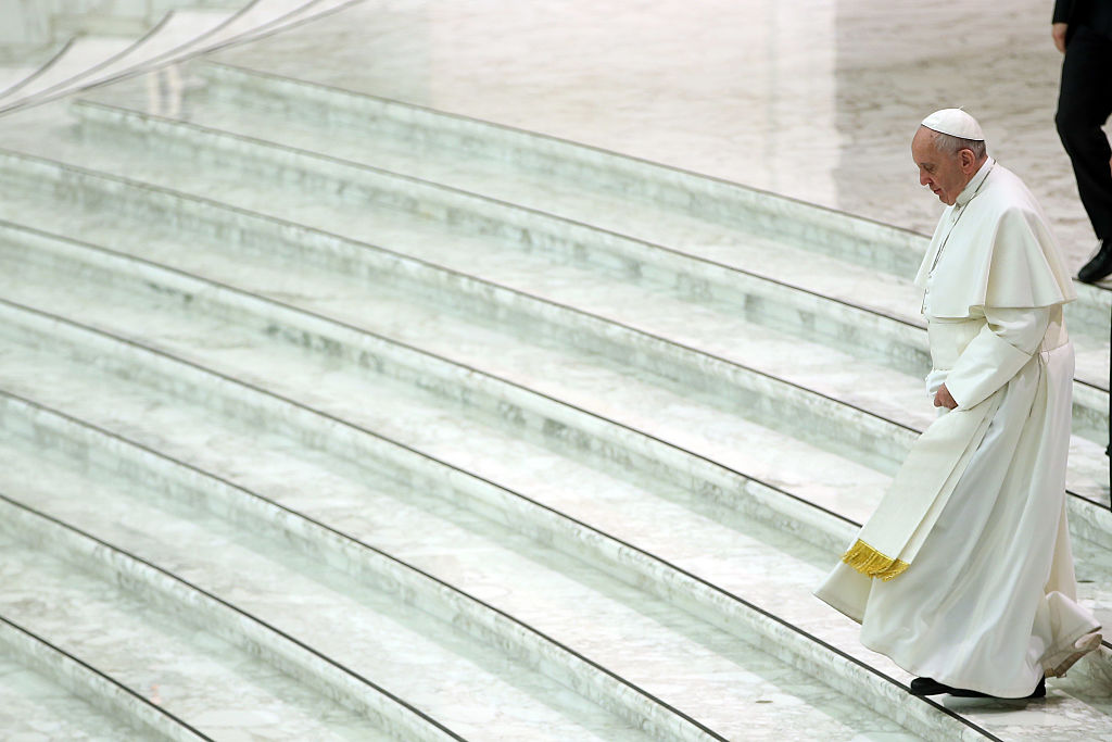 Pope Attends His Weekly Audience