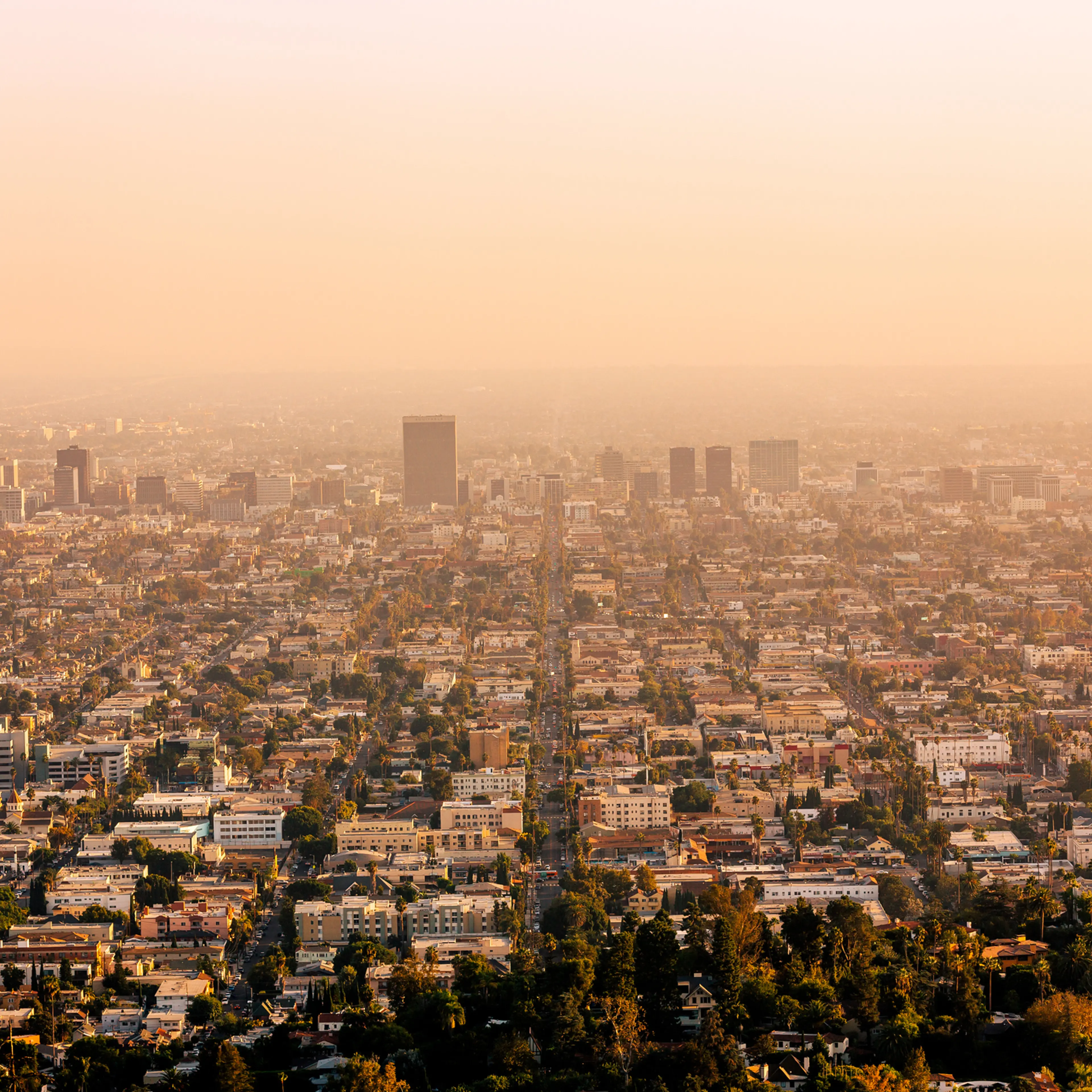Most places in the world have pollution above the acceptable standard, according to the latest IQAir World Air Quality report.