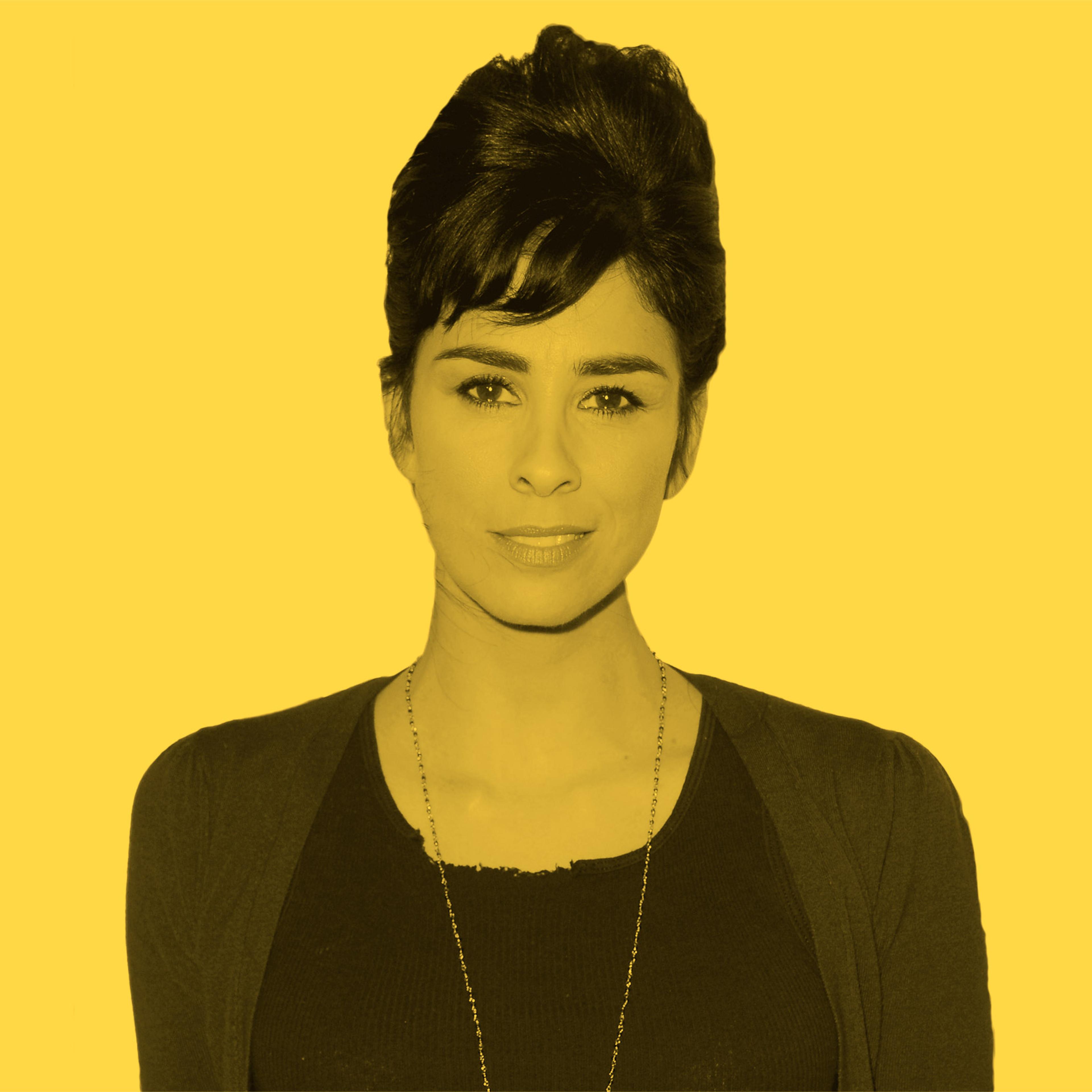 Question Everything Offensive Art Sarah Silverman
