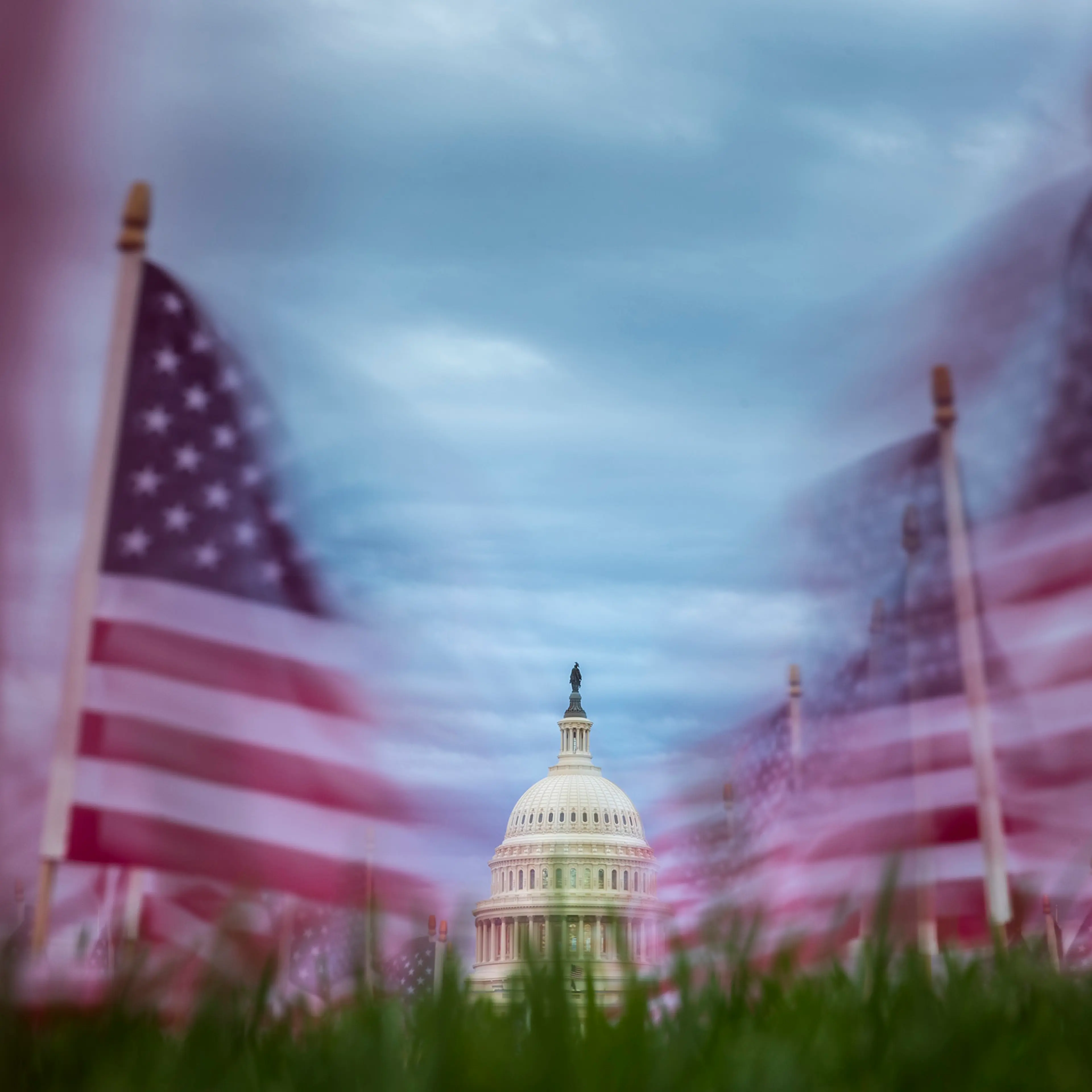 American flags along the National Mall on Nov. 10, 2025 in Washington, D.C.