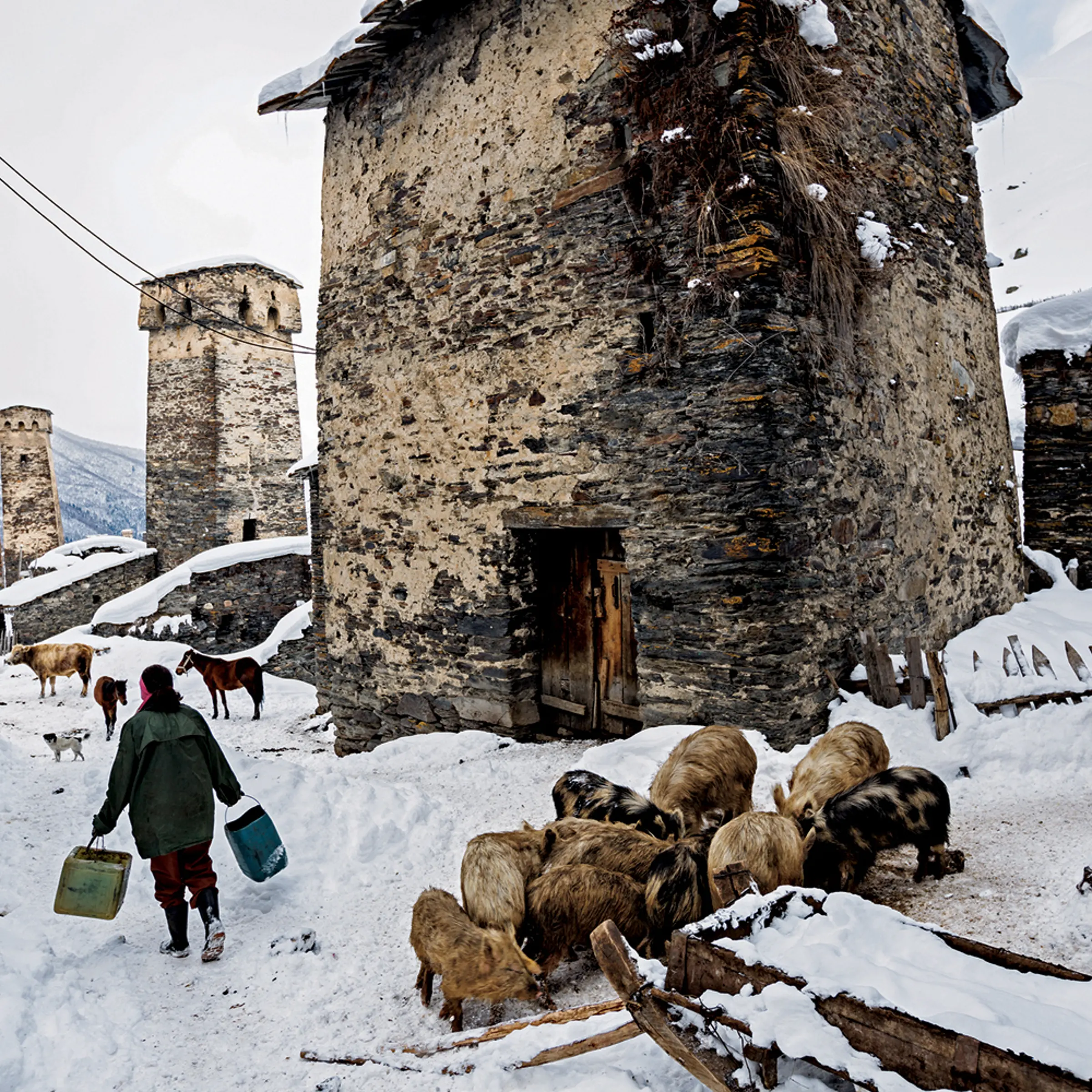 Some 200 towers, like these in Ushguli—built mainly from the 9th into the 13th centuries for shelter during wars, raids, and blood feuds—remain in Svaneti. Now they’re used to store hay and grain for farm animals, including pigs.