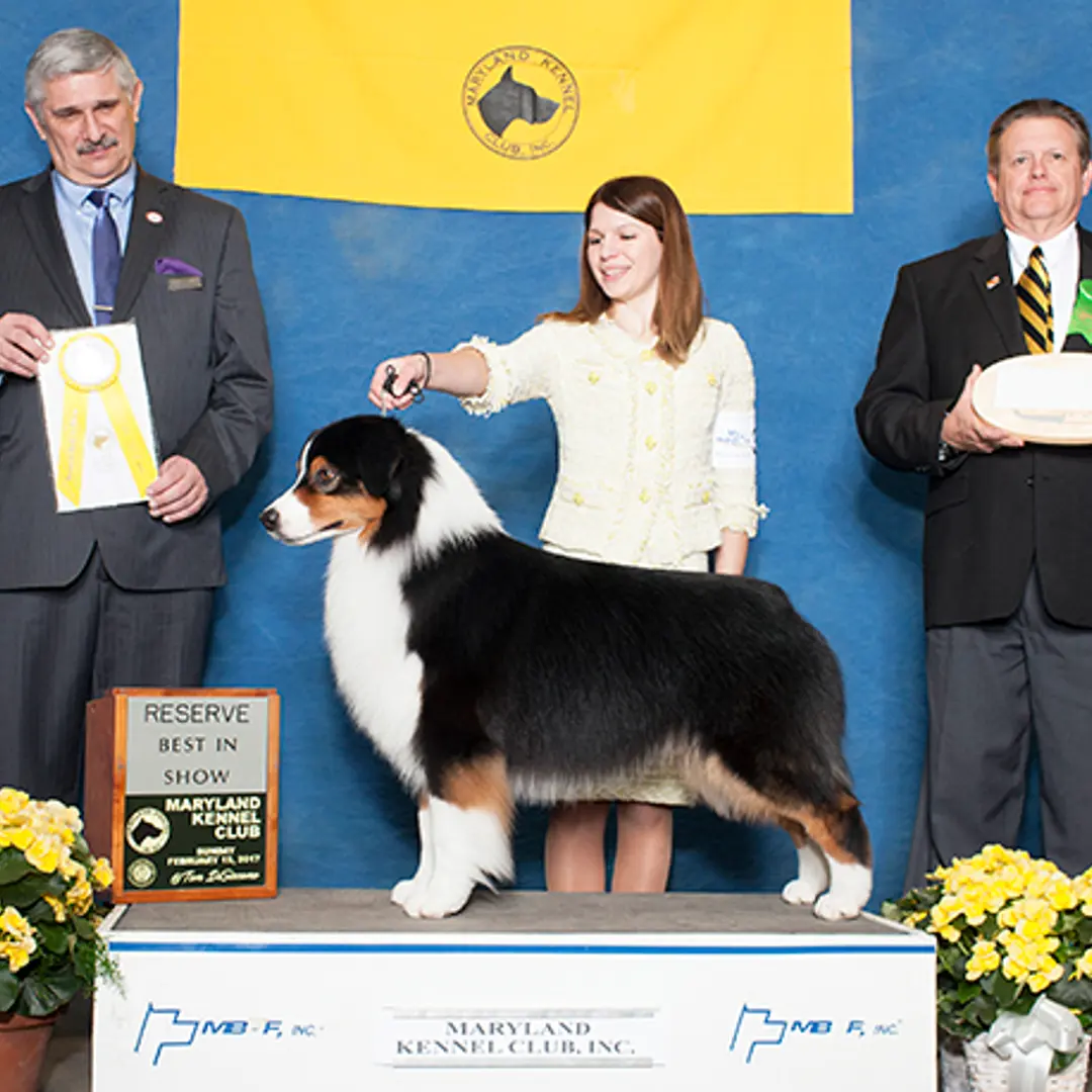 Trump's poses for a winning photo for the Maryland Kennel Club