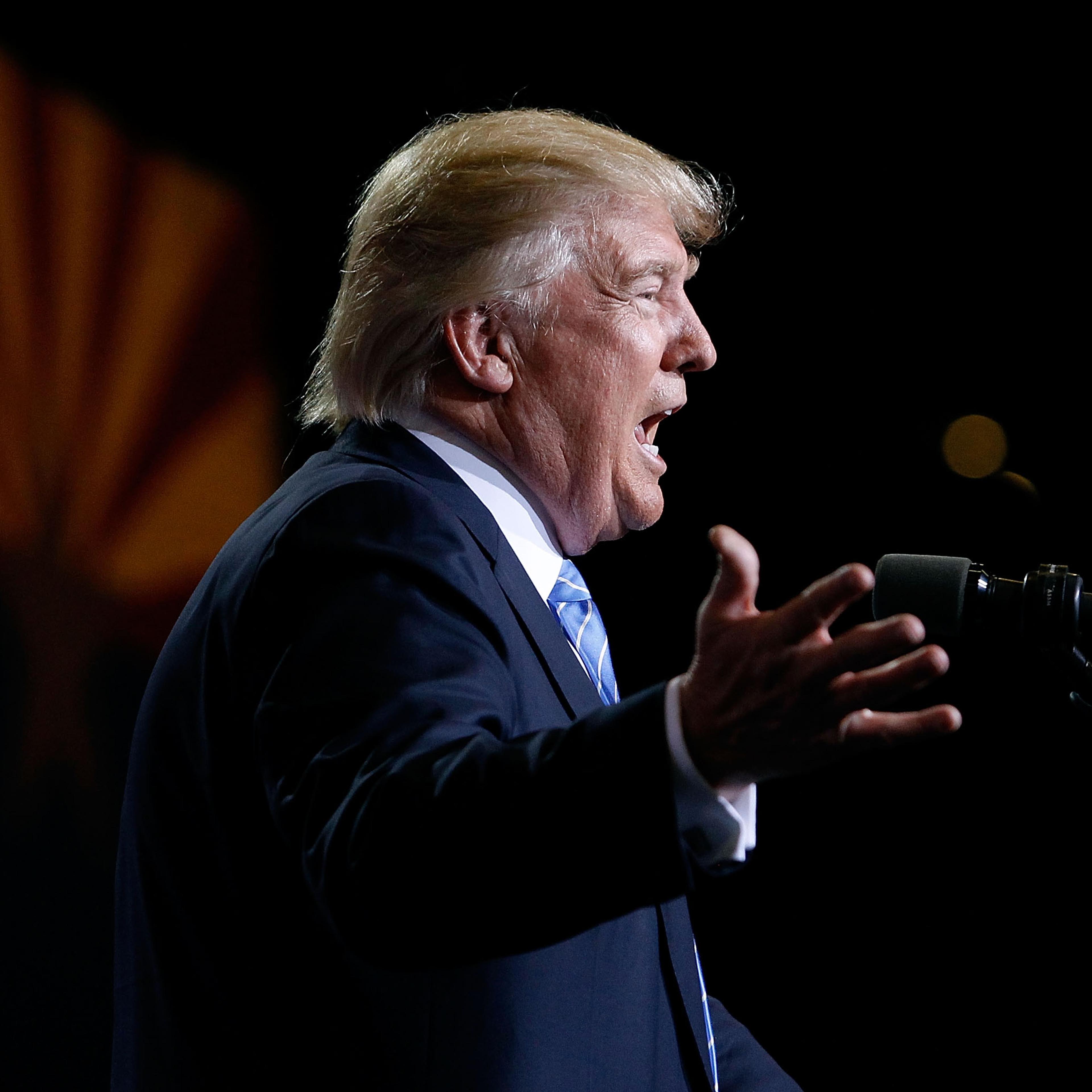 Donald Trump Speaks On Immigration At Rally In Phoenix