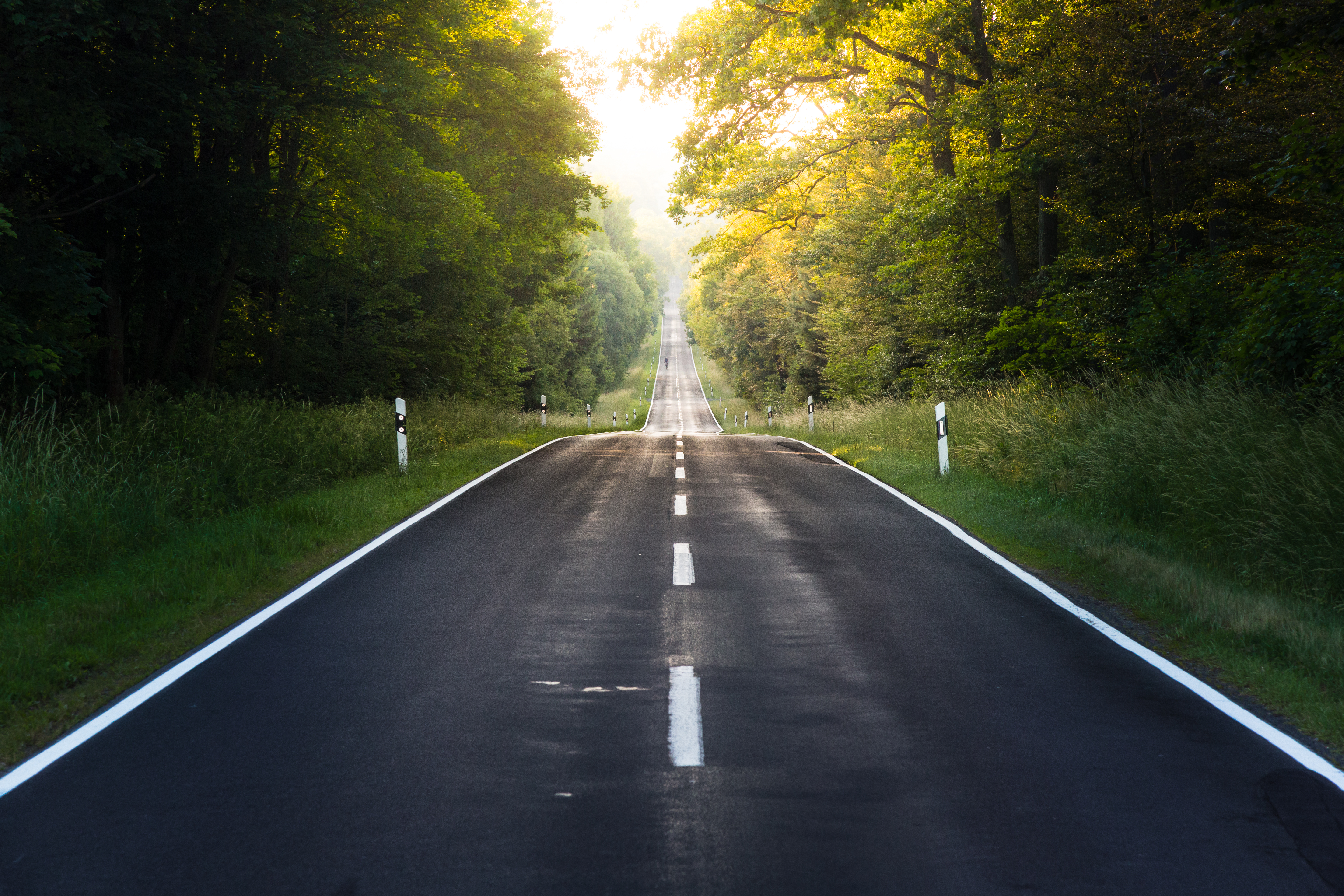 Empty Country Road Amidst Trees