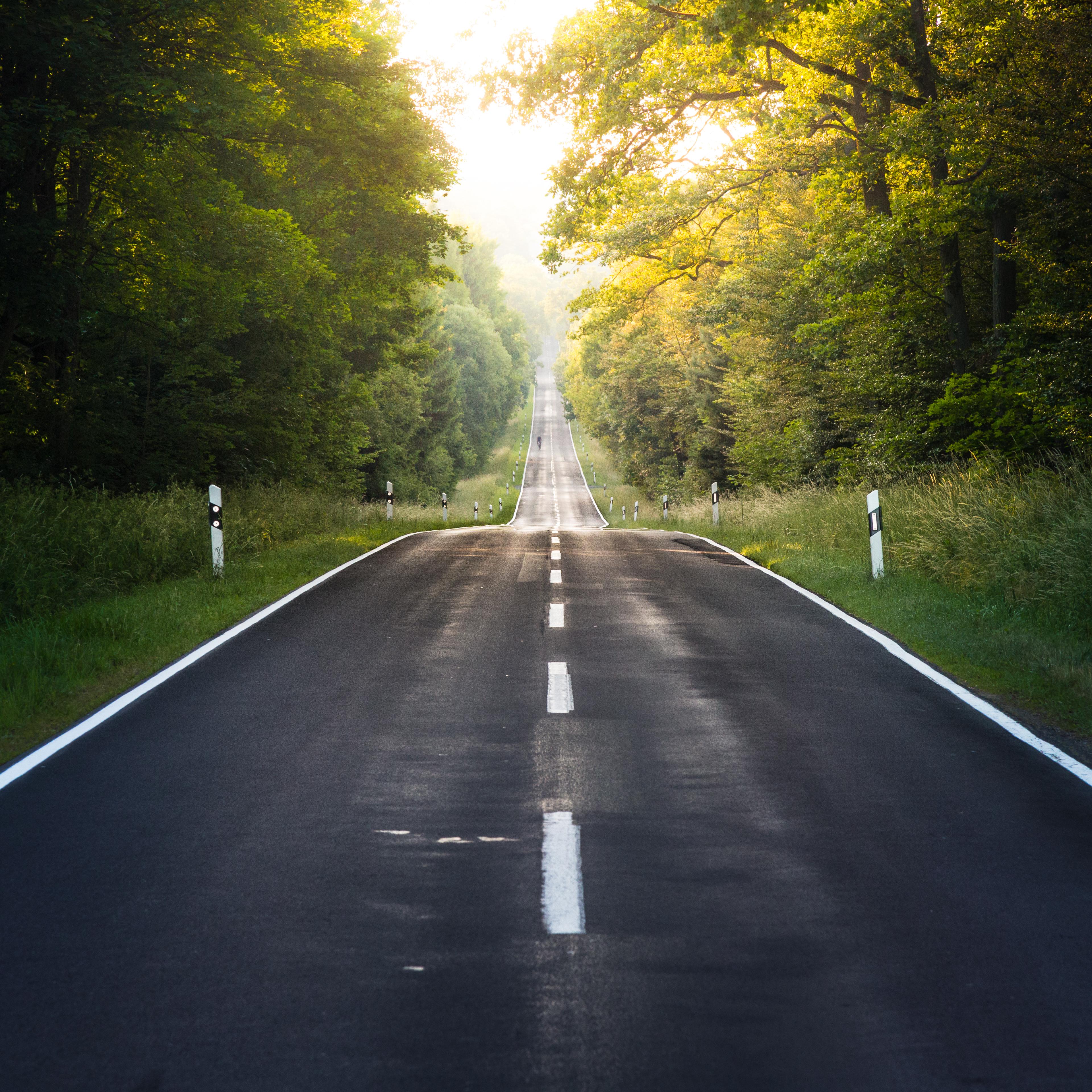 Empty Country Road Amidst Trees