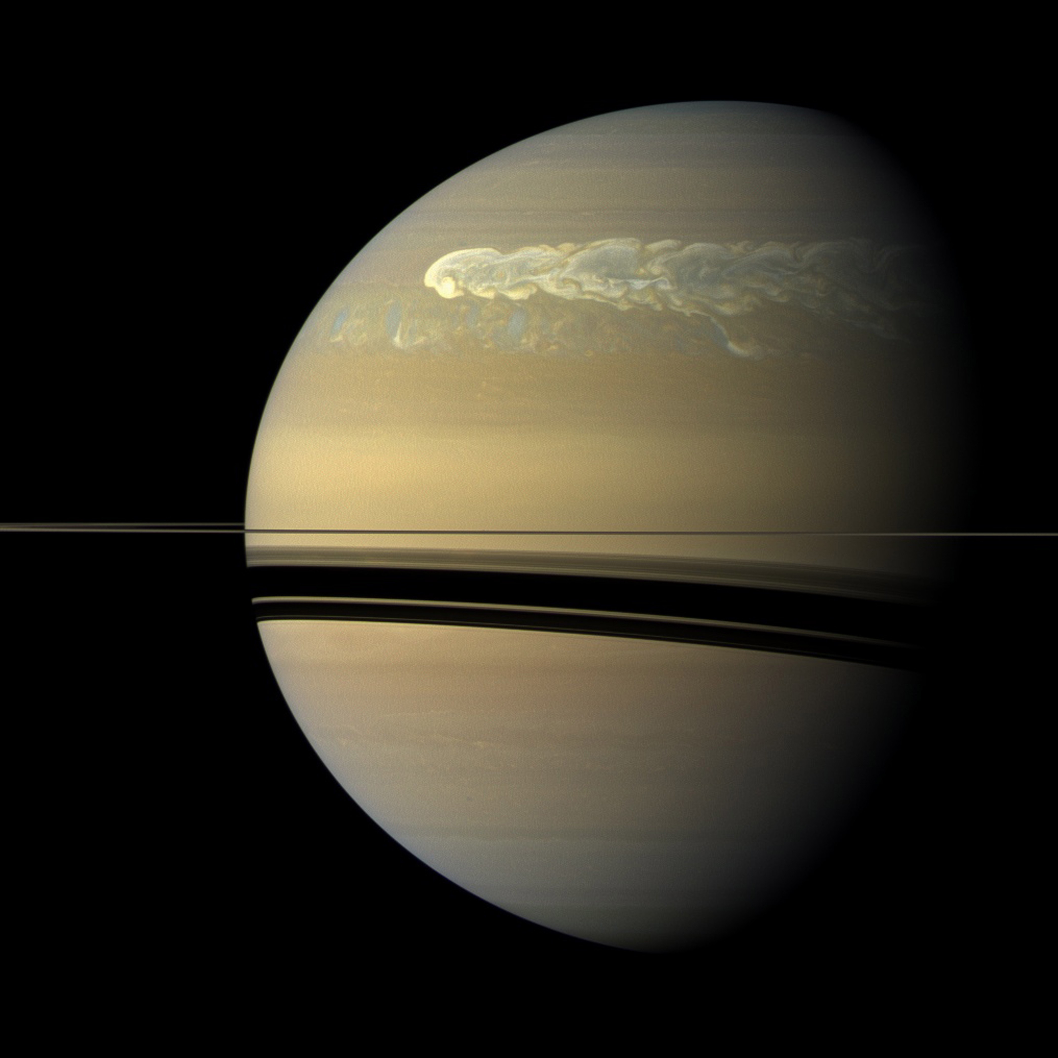 The huge storm churning through the atmosphere in Saturn's northern hemisphere overtakes itself as it encircles the planet in this true-color view from NASA's Cassini spacecraft.