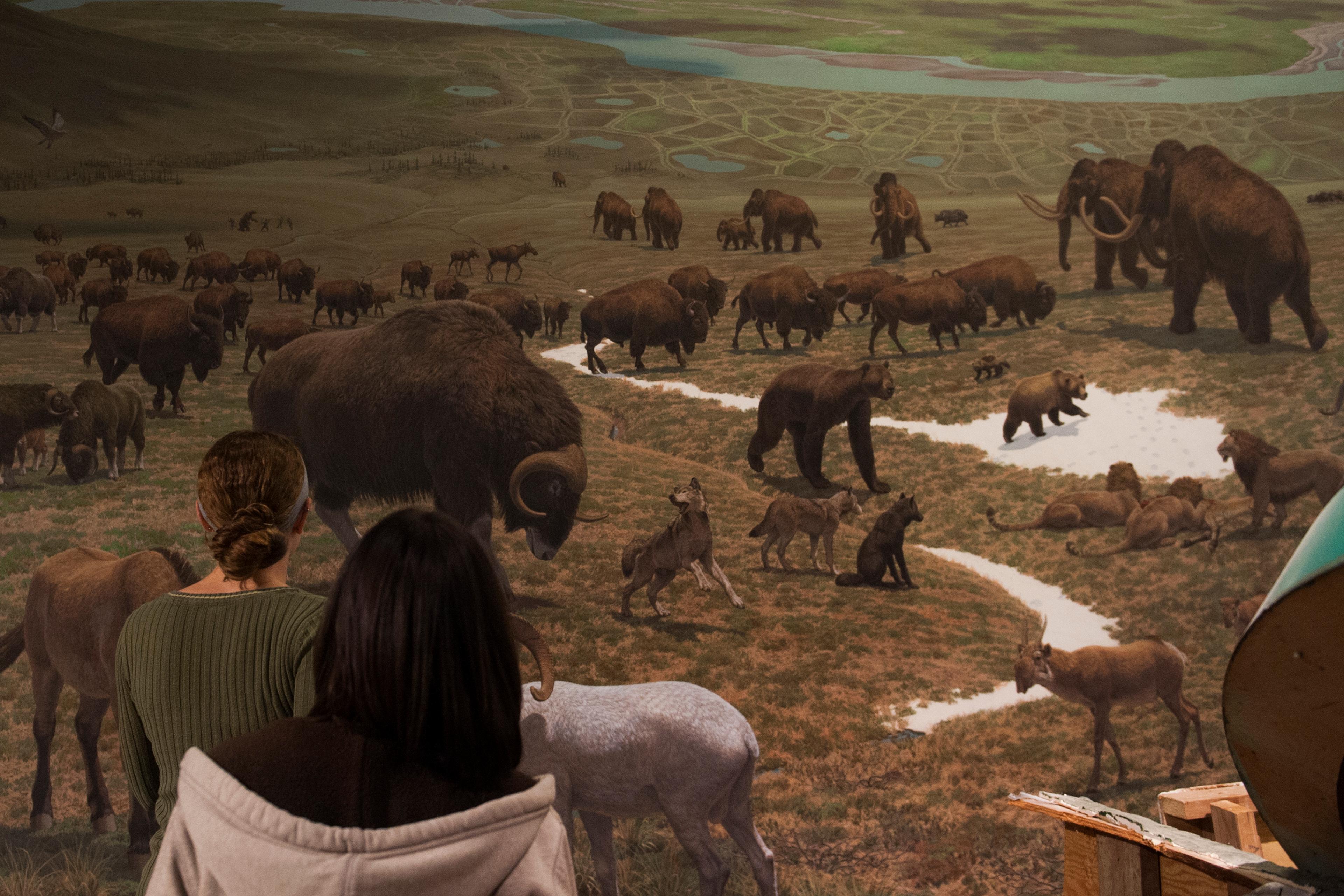 Deconstruction Of Wooly Mammoth And Other Dinosaurs At Museum Of Natural History