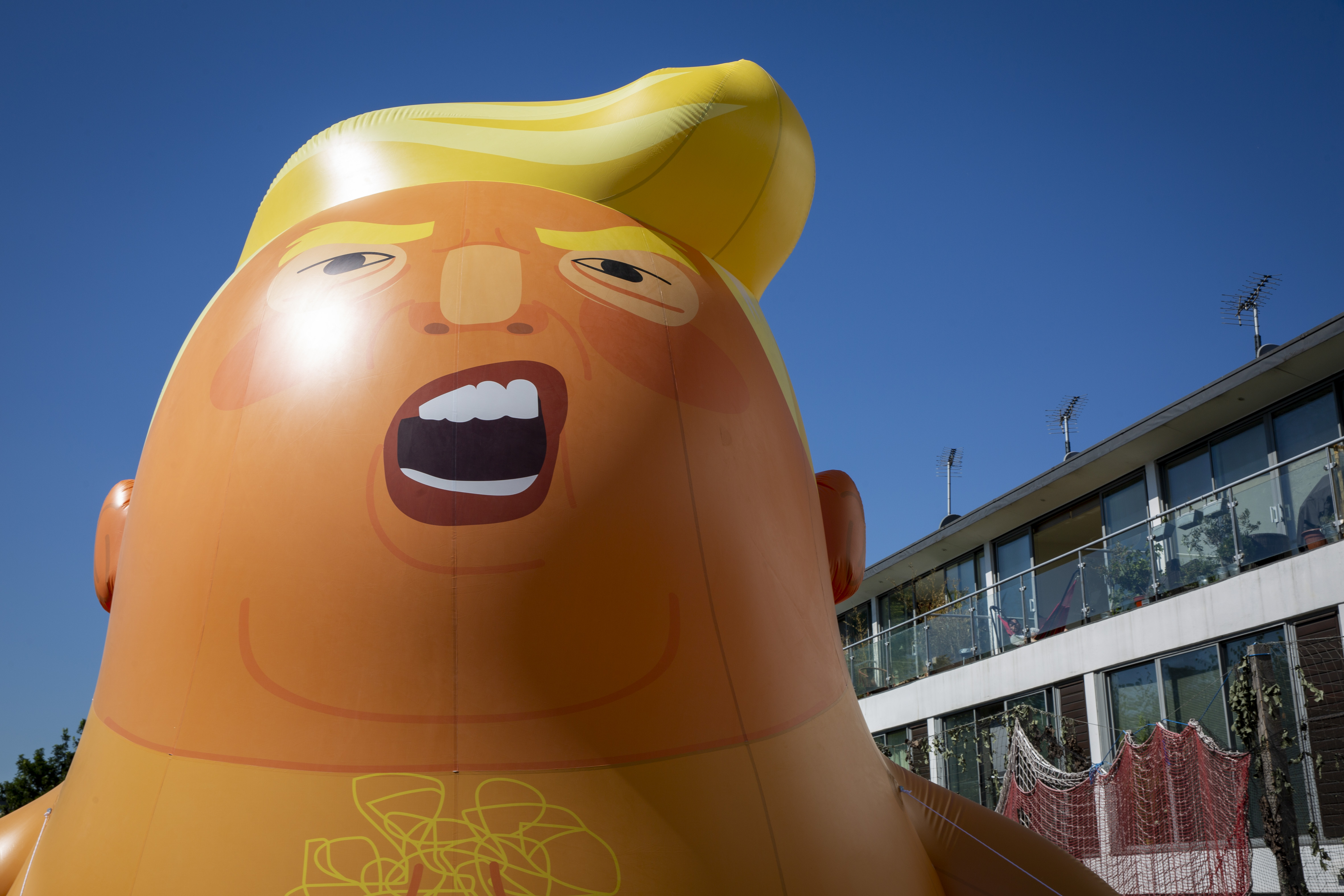 Inflatable Donald Trump Baby For Protest At Trumps UK Visit