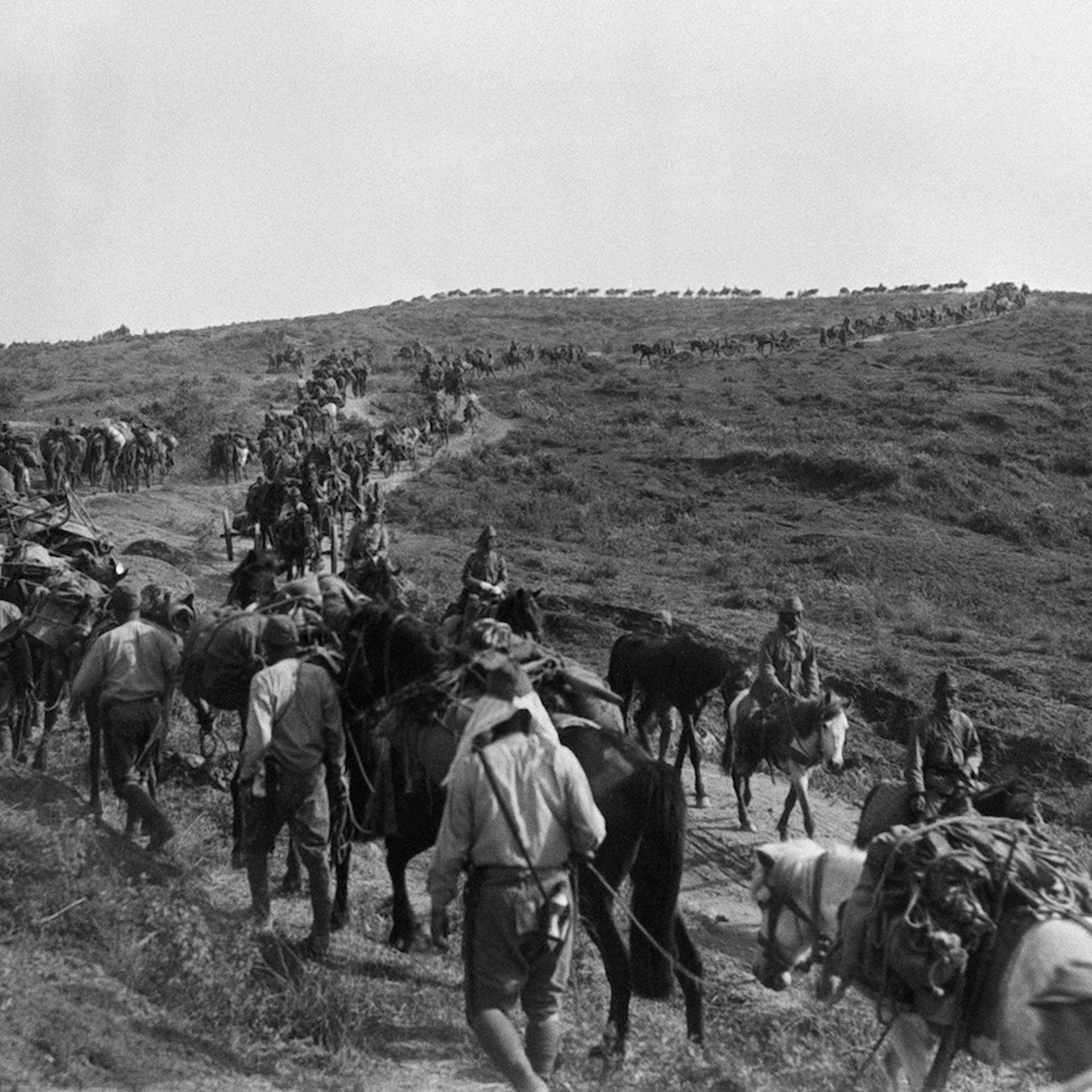 Picture dated May 1939 of Japanese troop