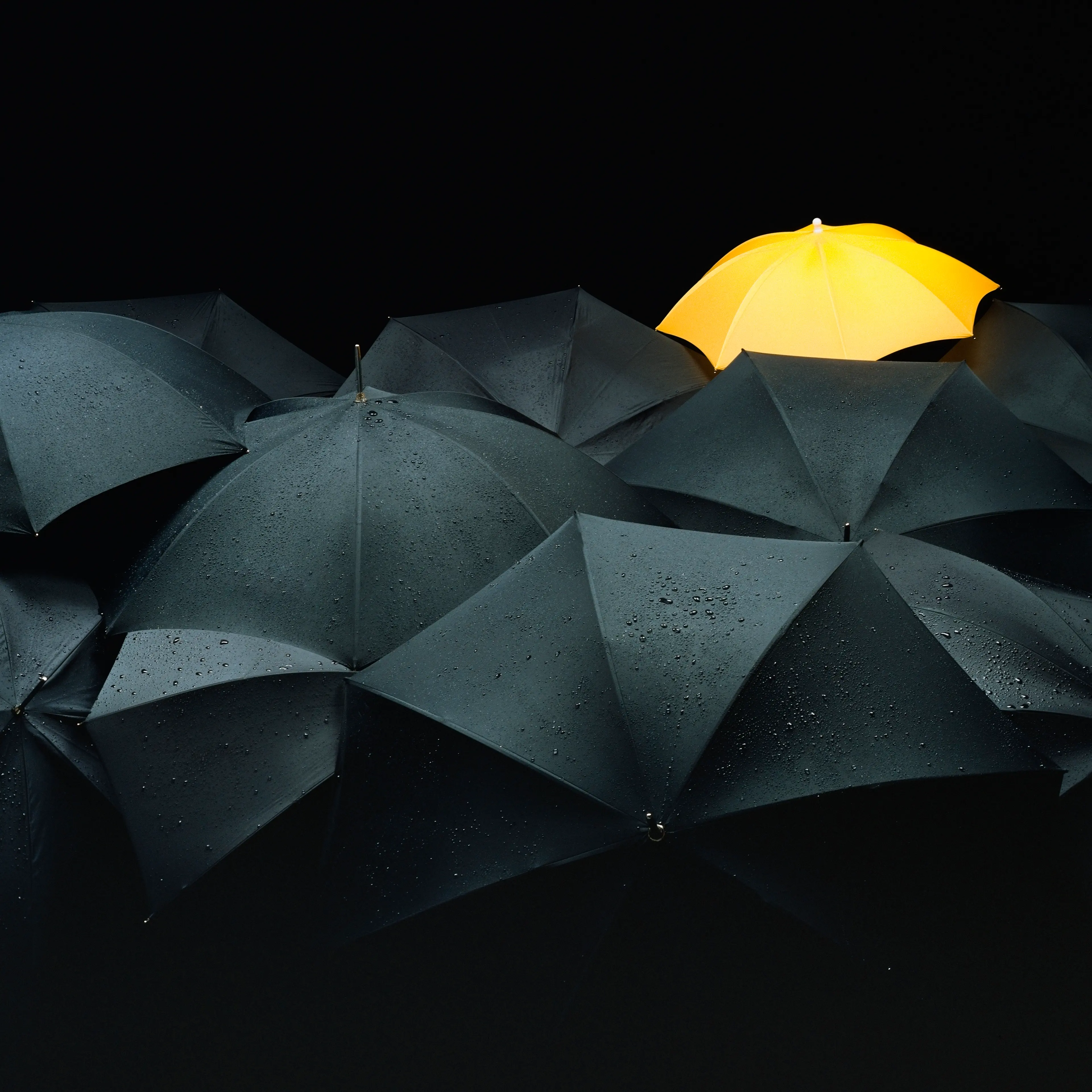One yellow umbrella among many black umbrellas.