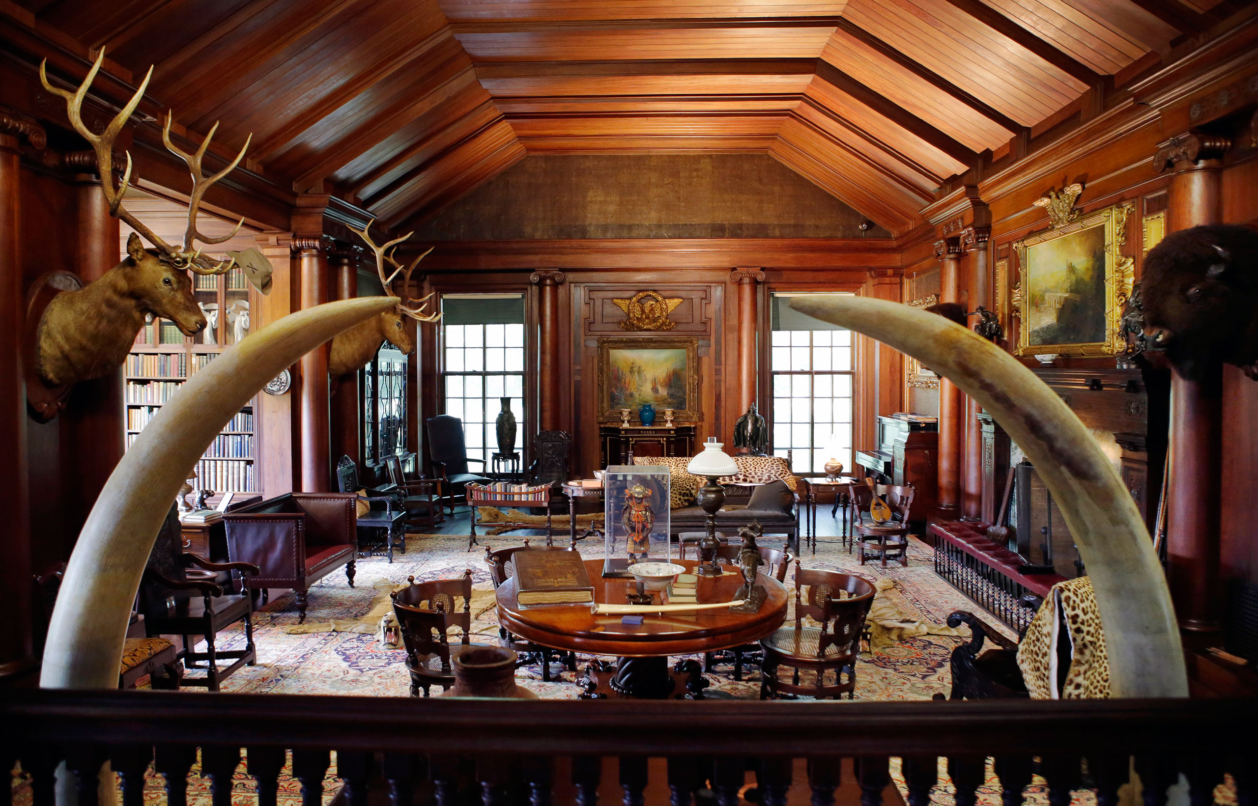 In this June 9, 2015, photo, elk and bison heads along with mementos President Theodore Roosevelt received adorn the North Room, the 26th president's "trophy room," at Sagamore Hill, his summer White House in Oyster Bay, N.Y. Sagamore Hill reopens July 1