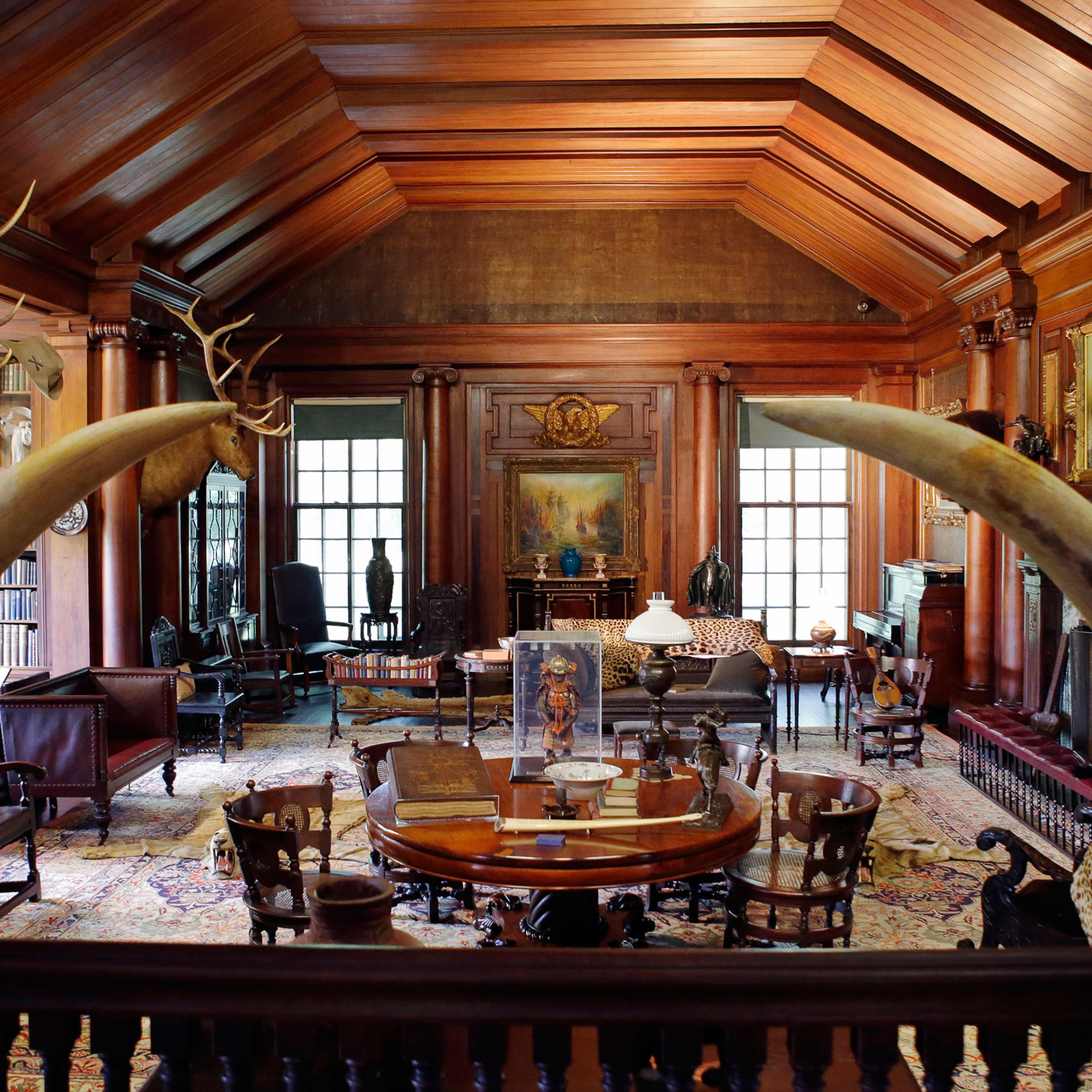 In this June 9, 2015, photo, elk and bison heads along with mementos President Theodore Roosevelt received adorn the North Room, the 26th president's "trophy room," at Sagamore Hill, his summer White House in Oyster Bay, N.Y. Sagamore Hill reopens July 1