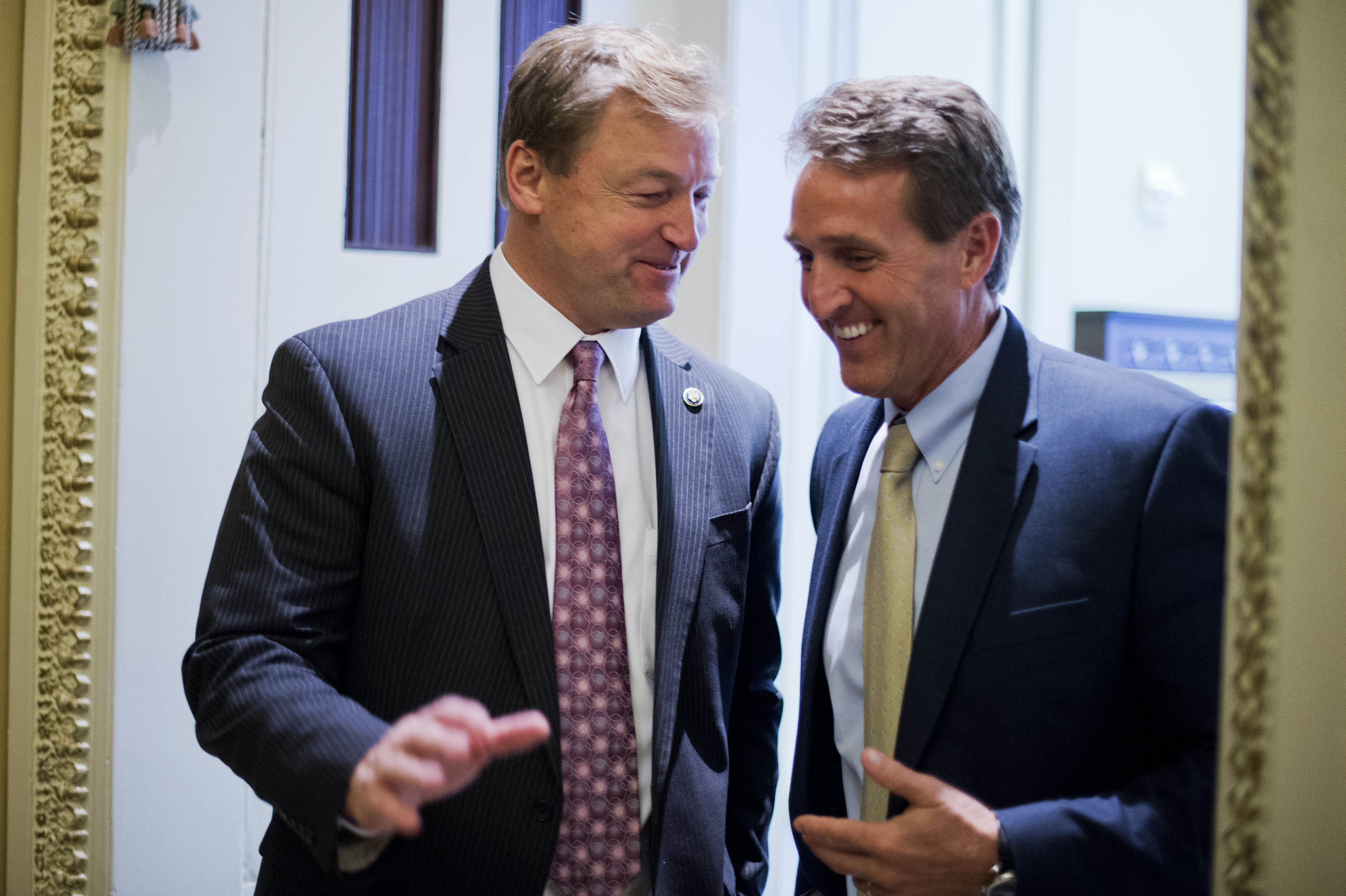 Senate Luncheons