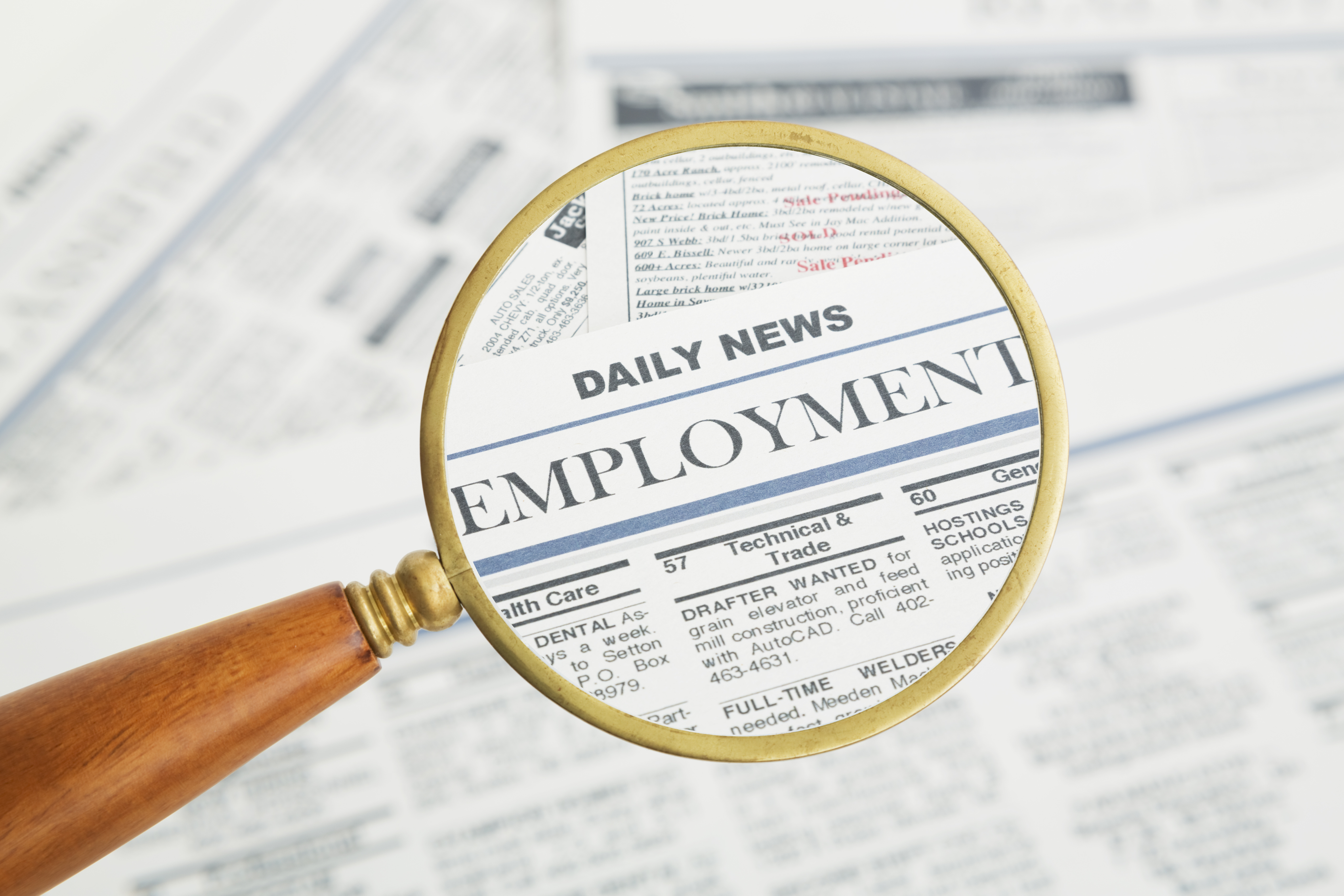 job search