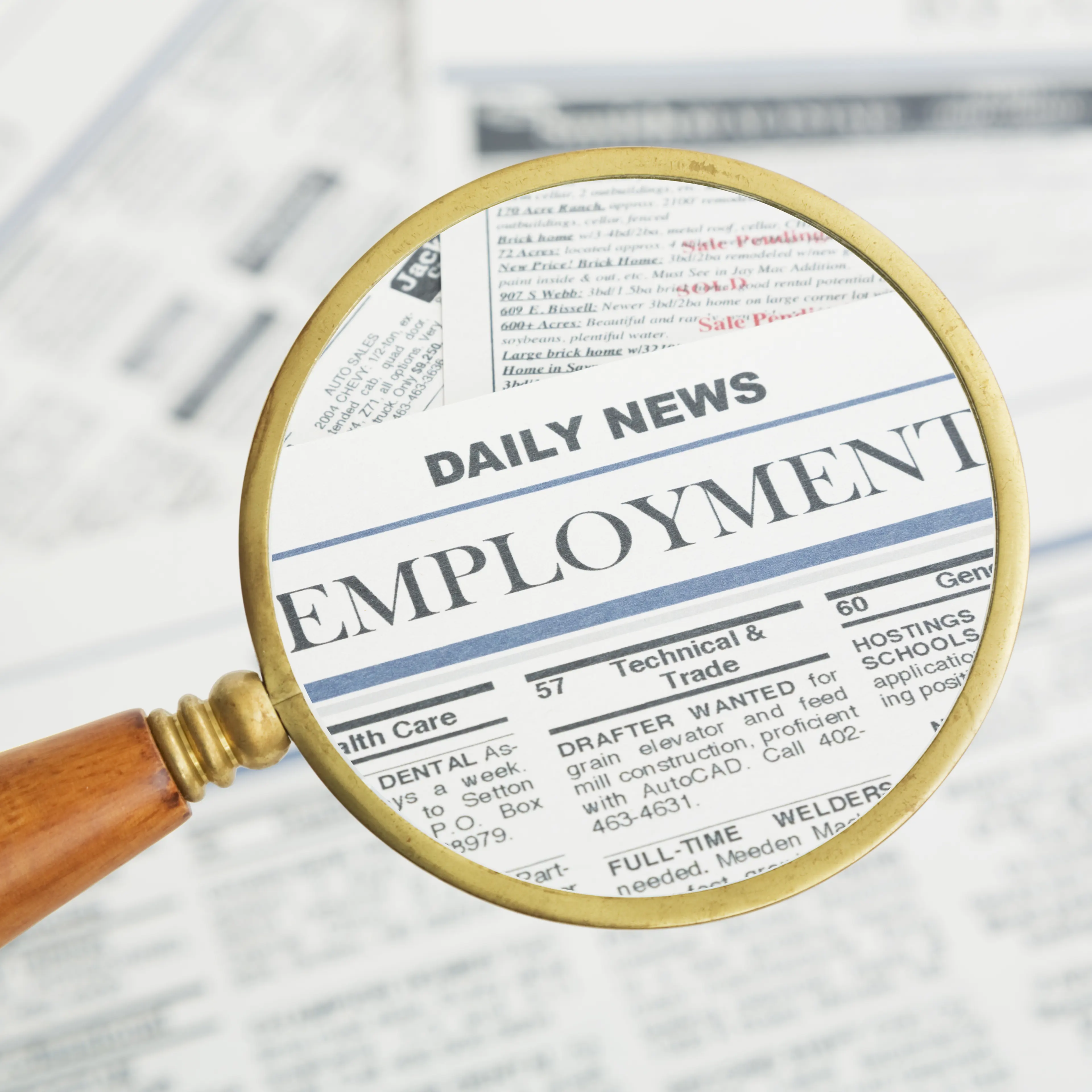 job search