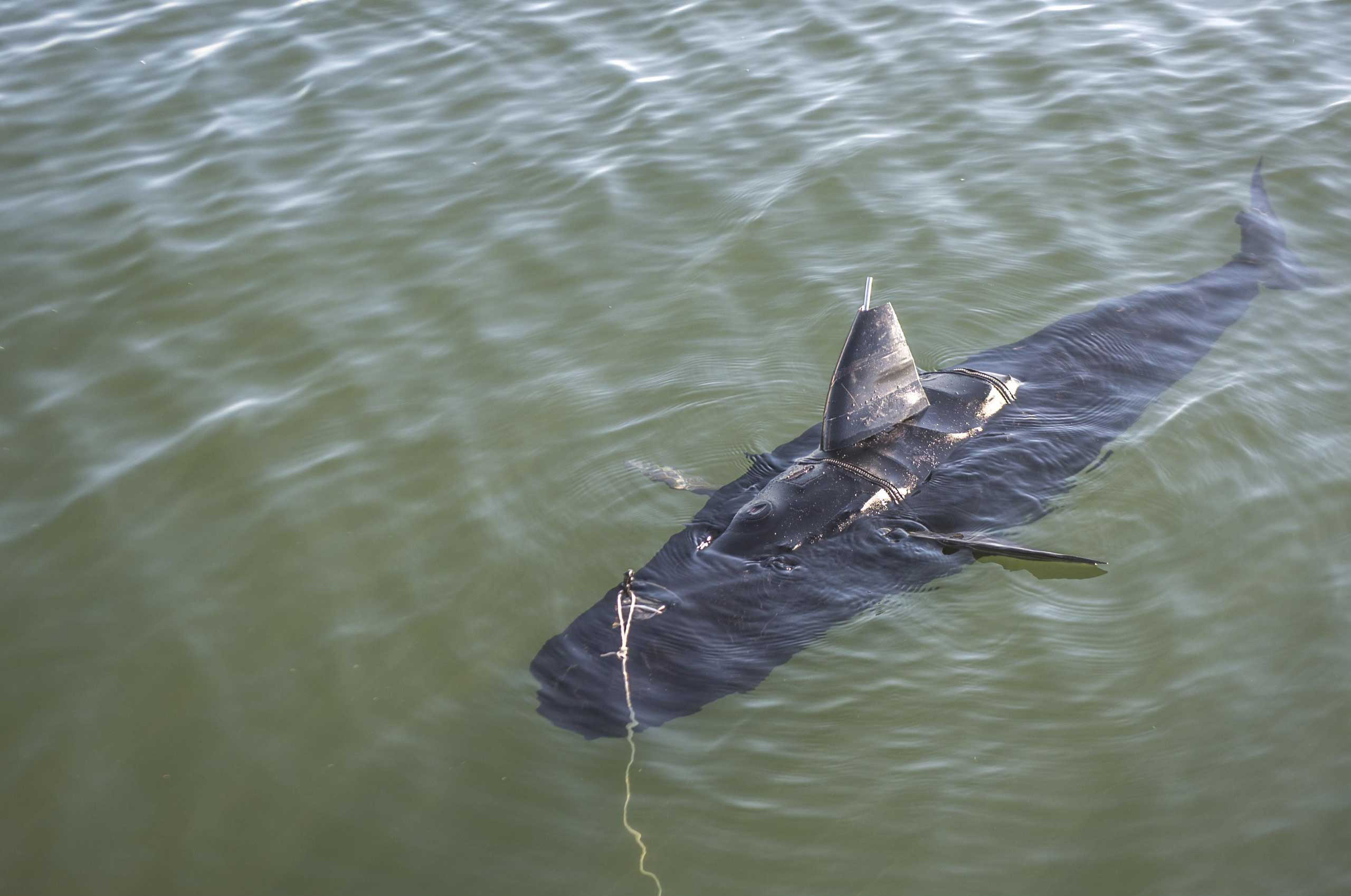 The GhostSwimmer vehicle.