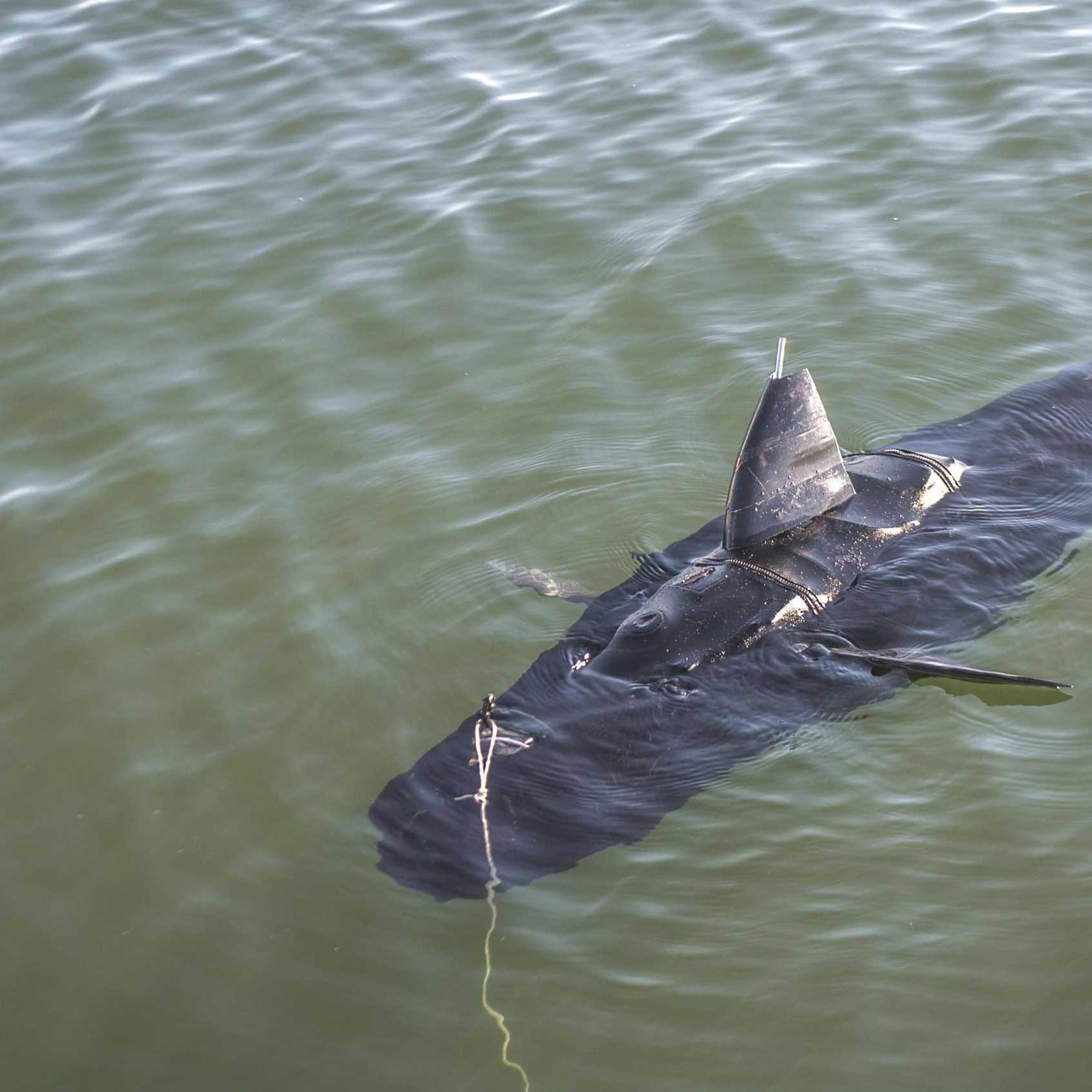 The GhostSwimmer vehicle.