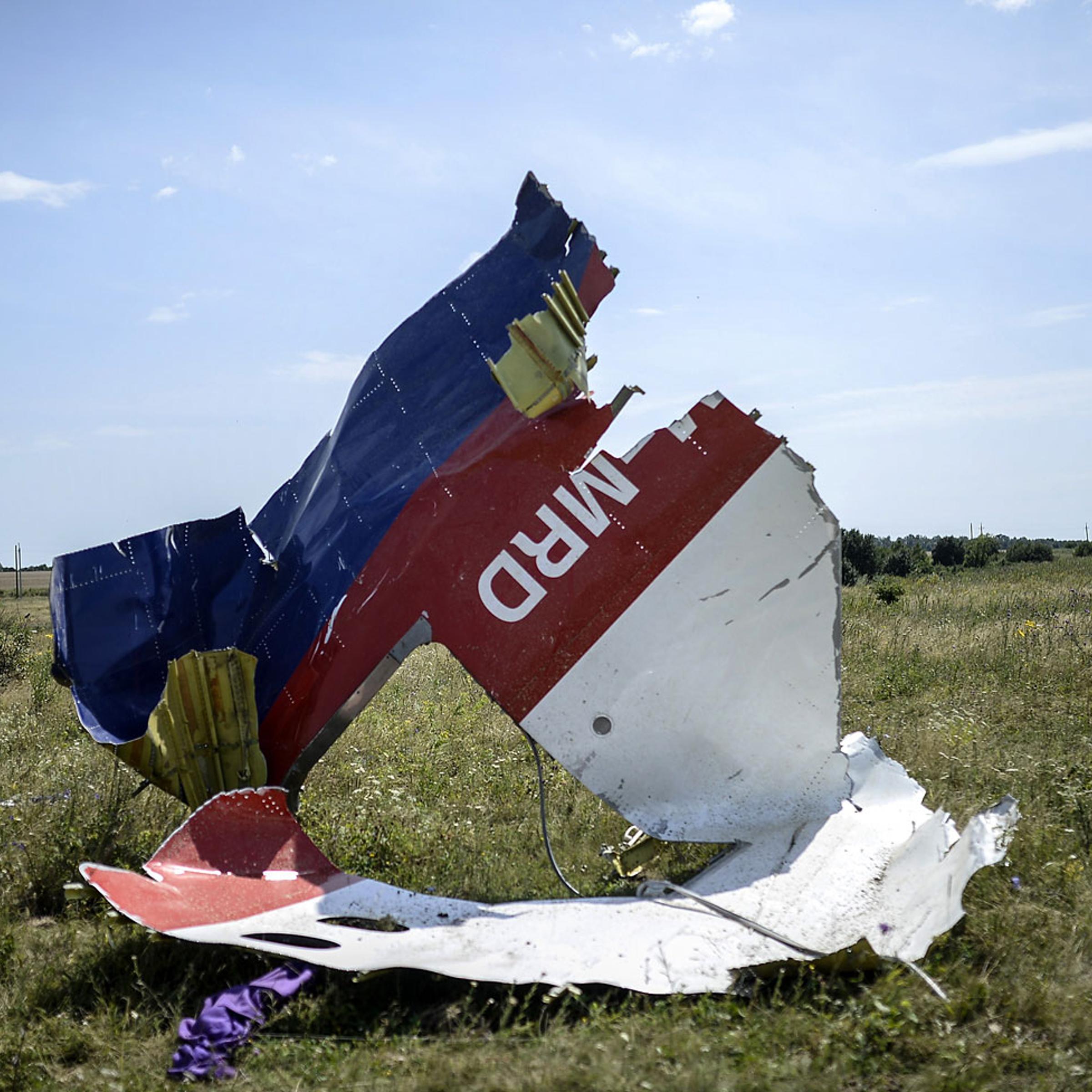 A piece of debris of the fuselage at the crash site of the Malaysia Airlines Flight 17 near the village of Grabovo, east of Donetsk, on July 25, 2014.