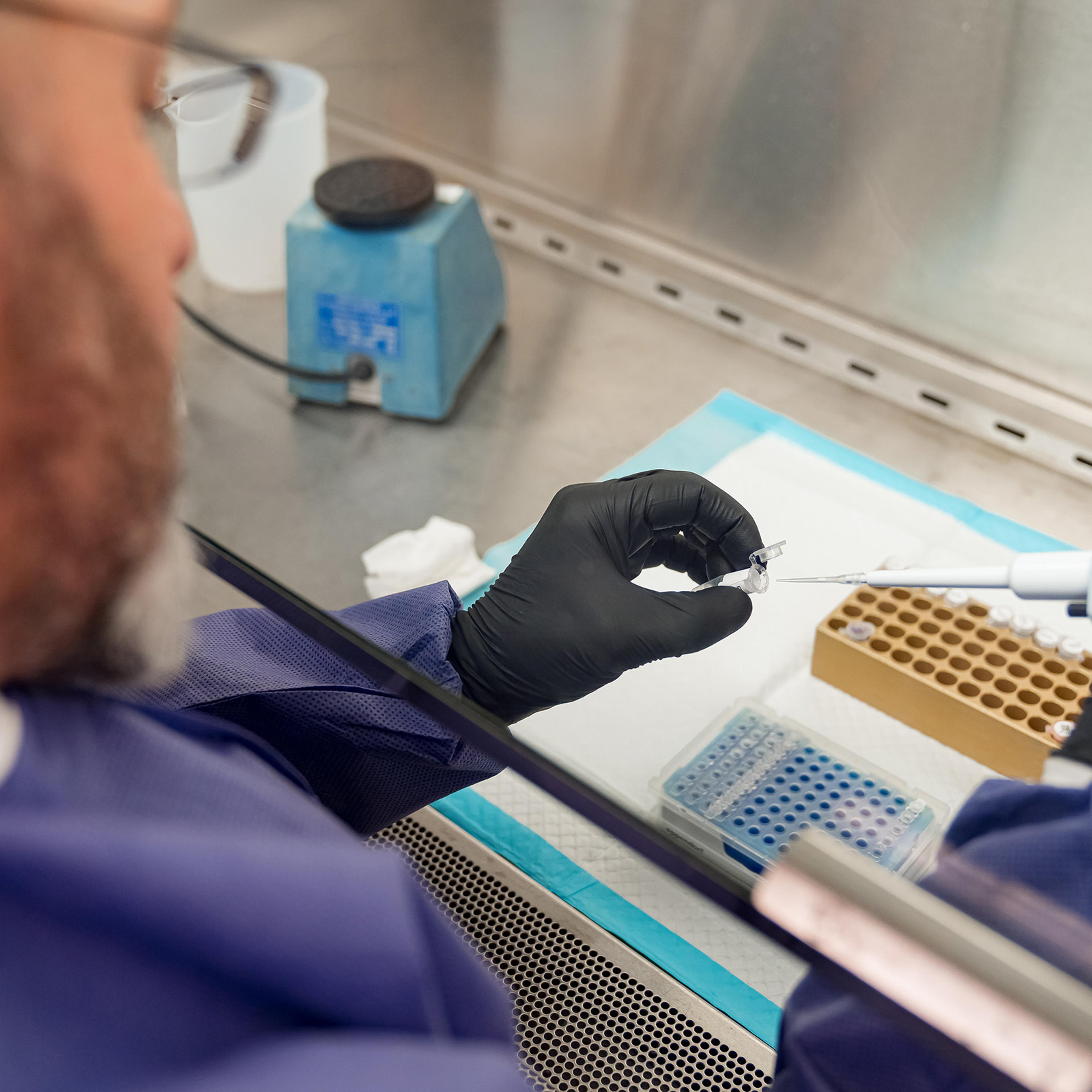 Samples of coronavirus being prepared for testing in the New York health department's virology lab. (New York State Department of Health via The New York Times)
