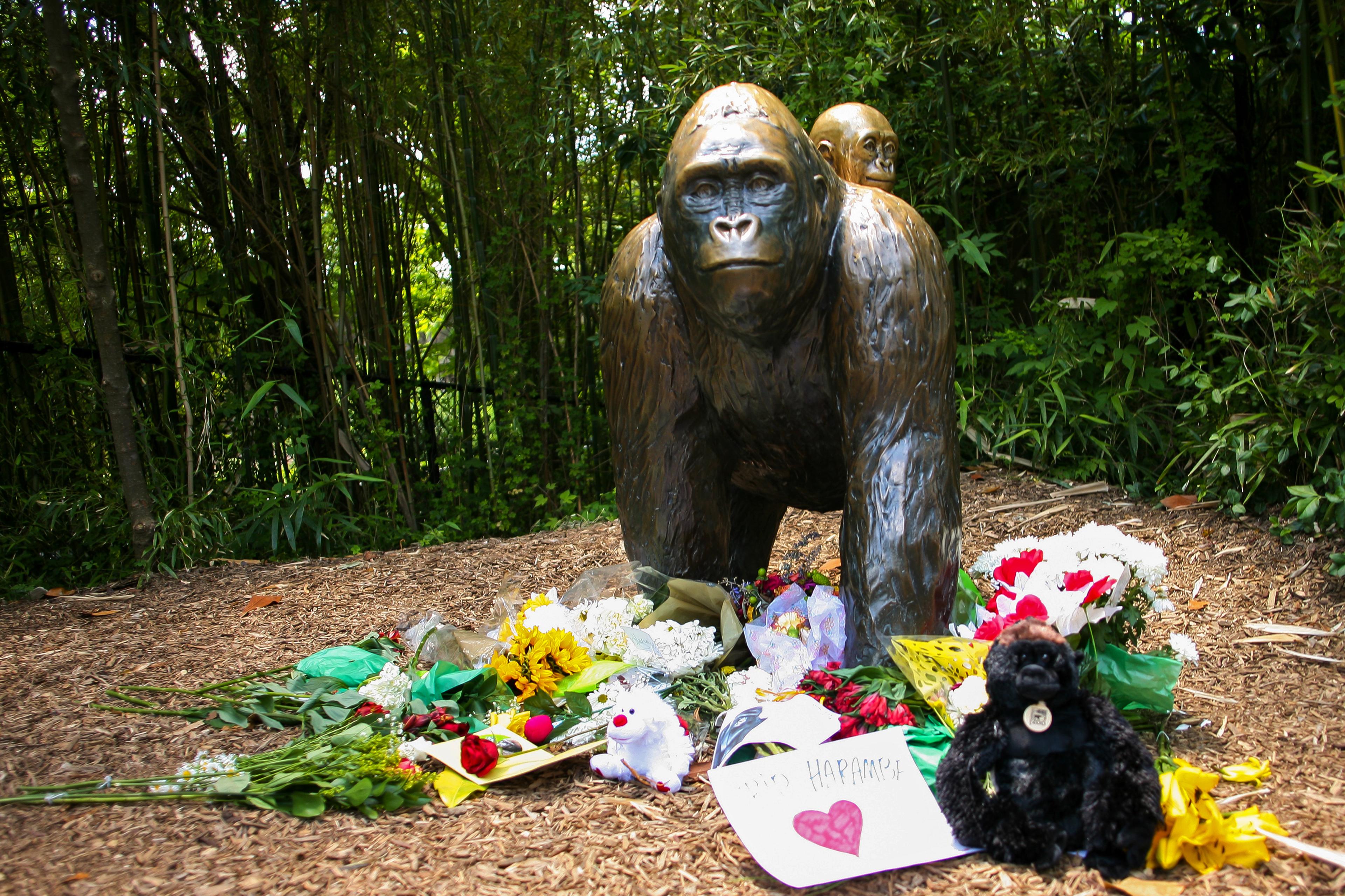 Flowers lay around a bronze statue of a gorilla and her baby outside the Cincinnati Zoo's Gorilla World exhibit in Cincinnati, Ohio