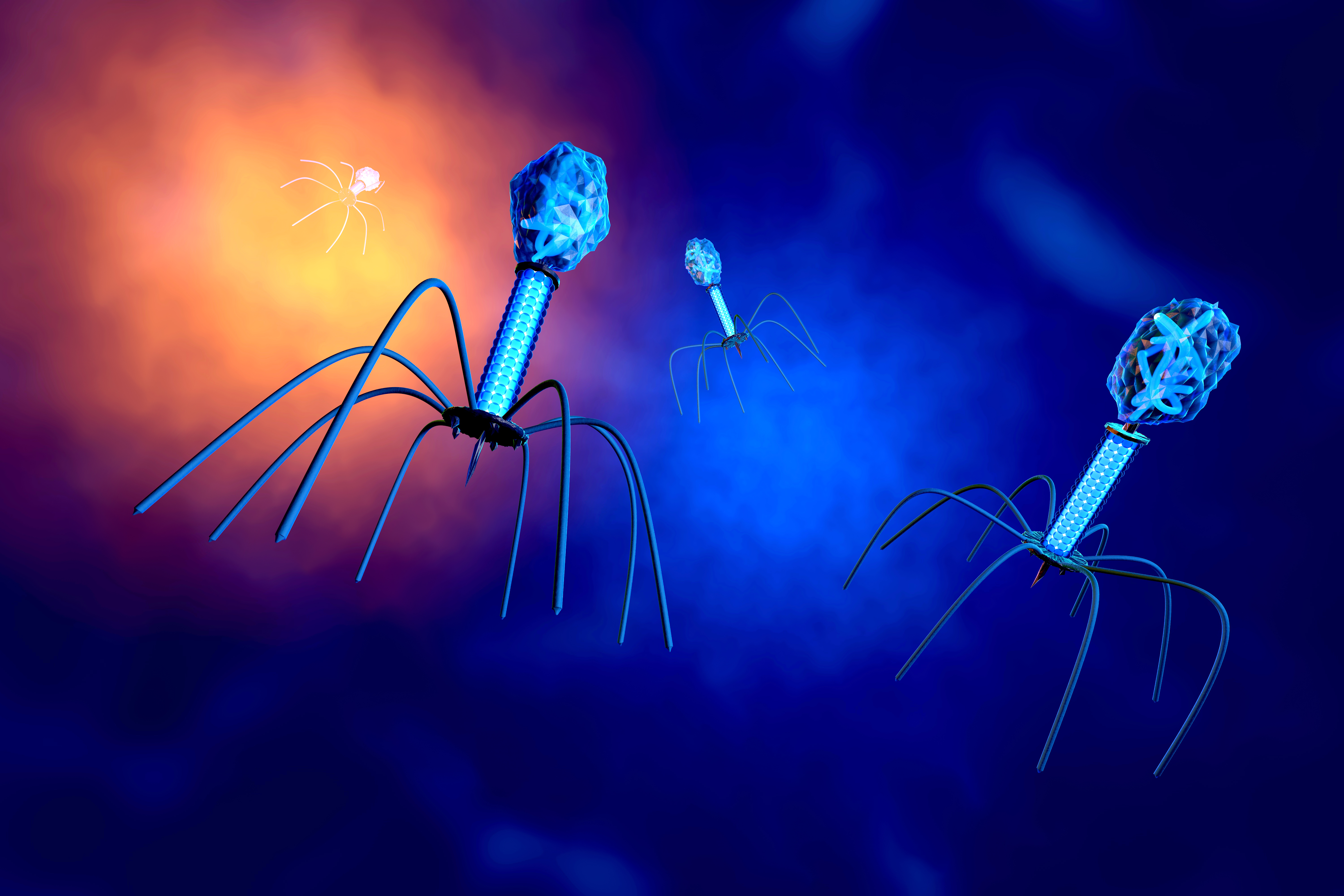 3D rendered Illustration of a anatomically correct convergence to a group of bacteriophage viruses
