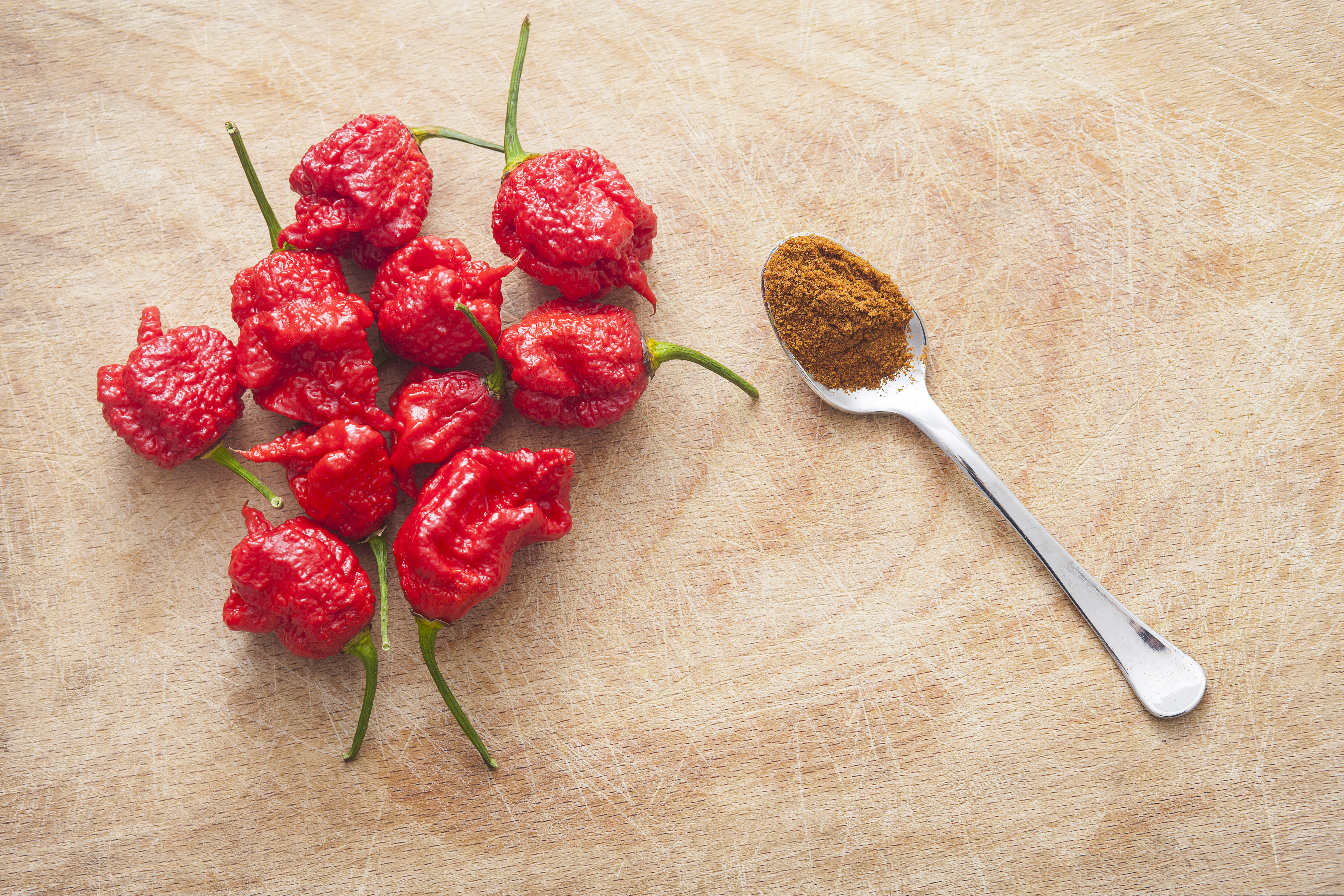 Hot pepper Carolina Reaper