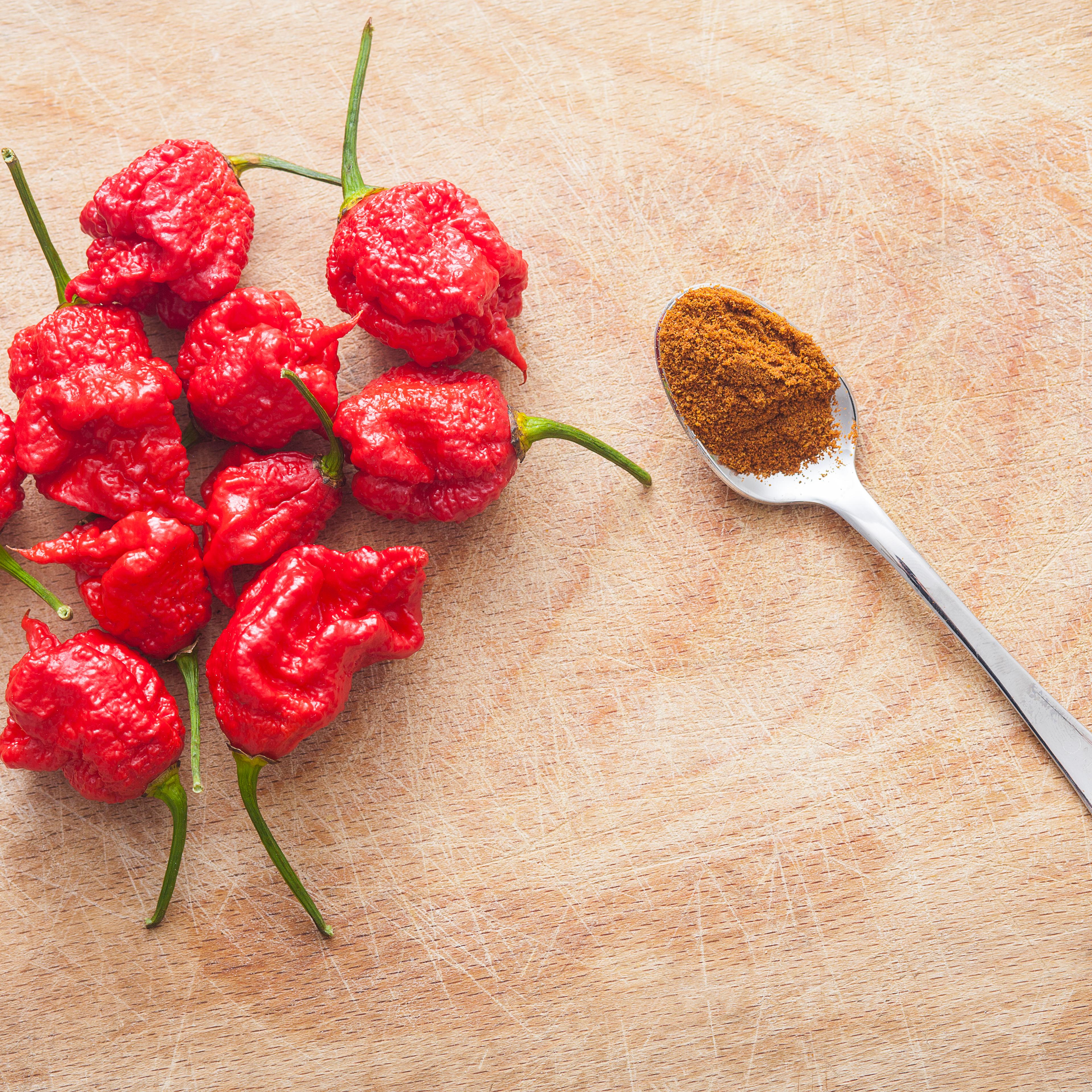 Hot pepper Carolina Reaper