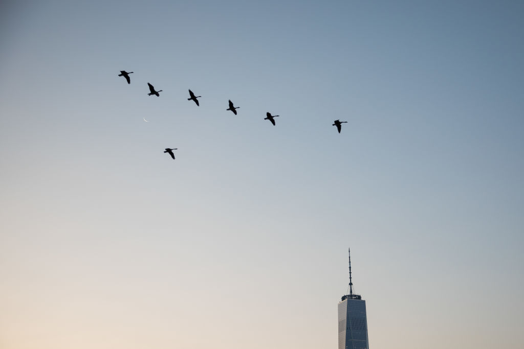 Views Of Manhattan As U.S. Stocks Fall