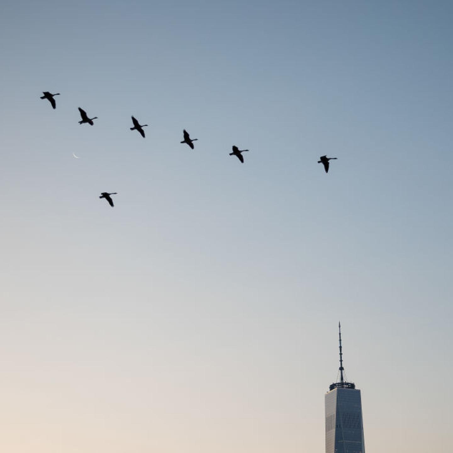 Views Of Manhattan As U.S. Stocks Fall