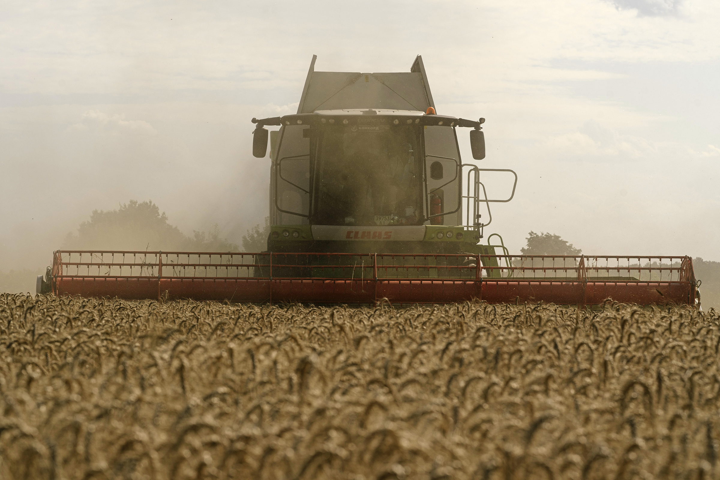 A combine harvester, from the Ukrainian seed agricultural company Peremoga—meaning ‘Victory’—operates during the summer wheat harvest in the Fastiv district of Kyiv, Ukraine, on July 24.