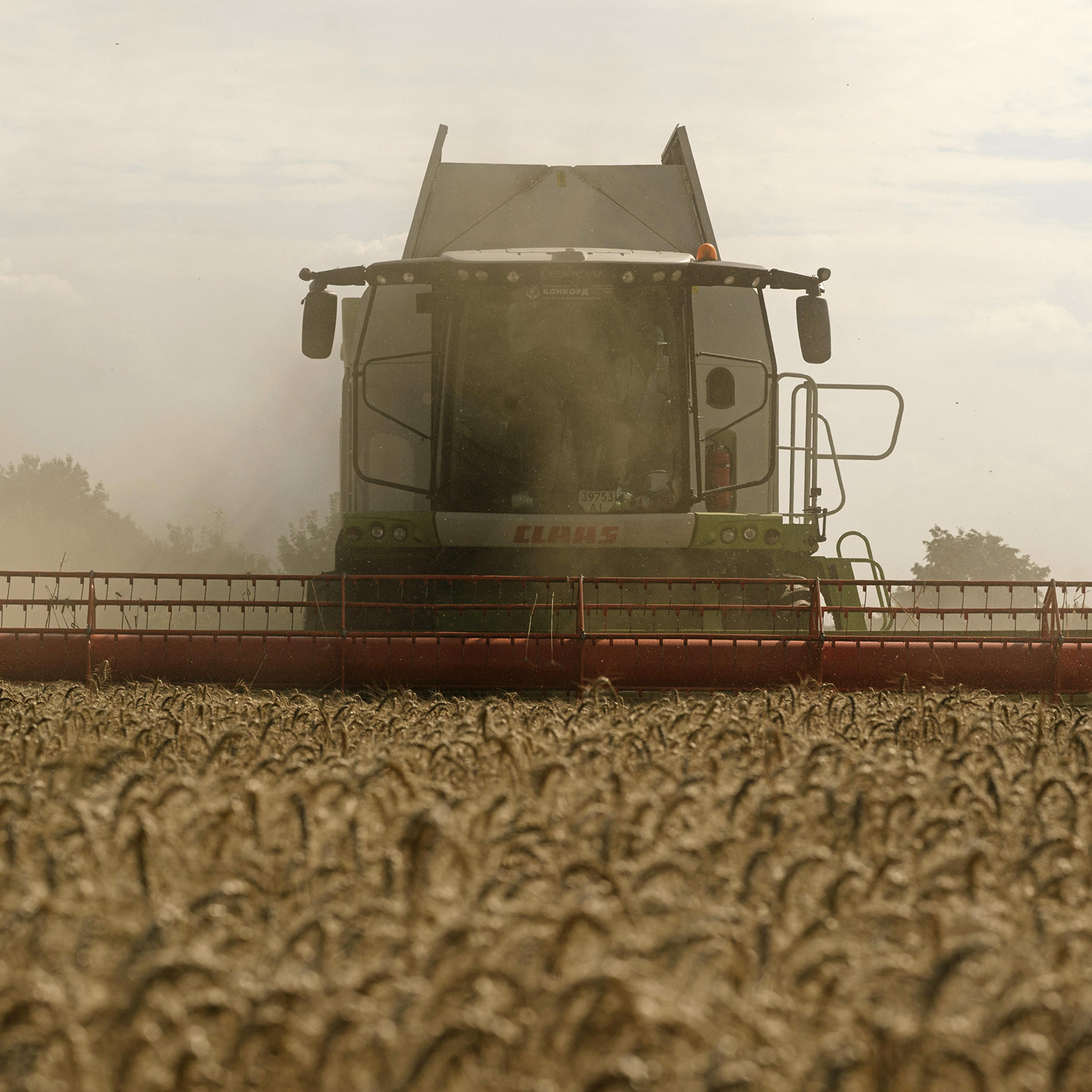 A combine harvester, from the Ukrainian seed agricultural company Peremoga—meaning ‘Victory’—operates during the summer wheat harvest in the Fastiv district of Kyiv, Ukraine, on July 24.