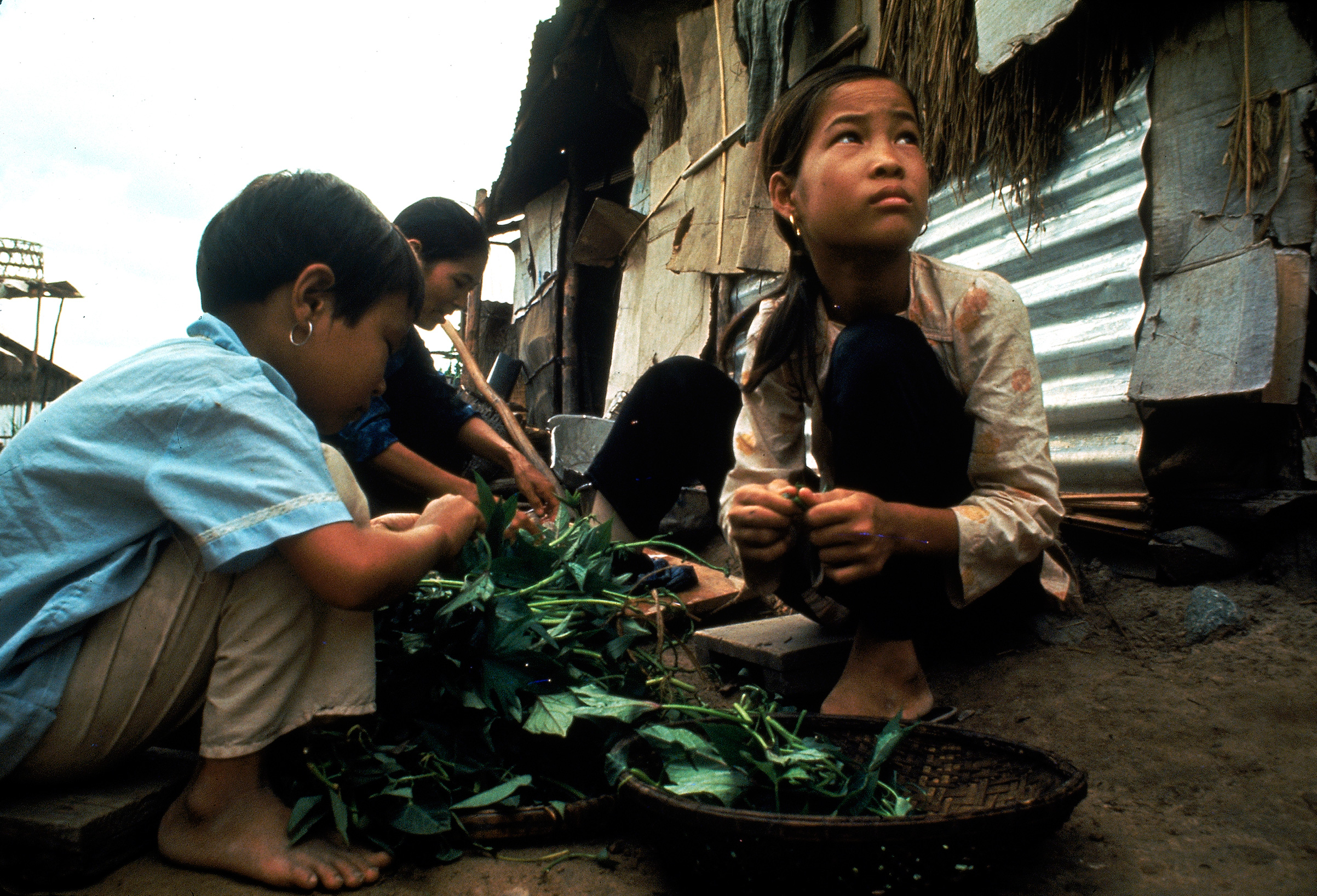 Vietnam war 1968 Larry Burrows photo essay "This Girl Tron."