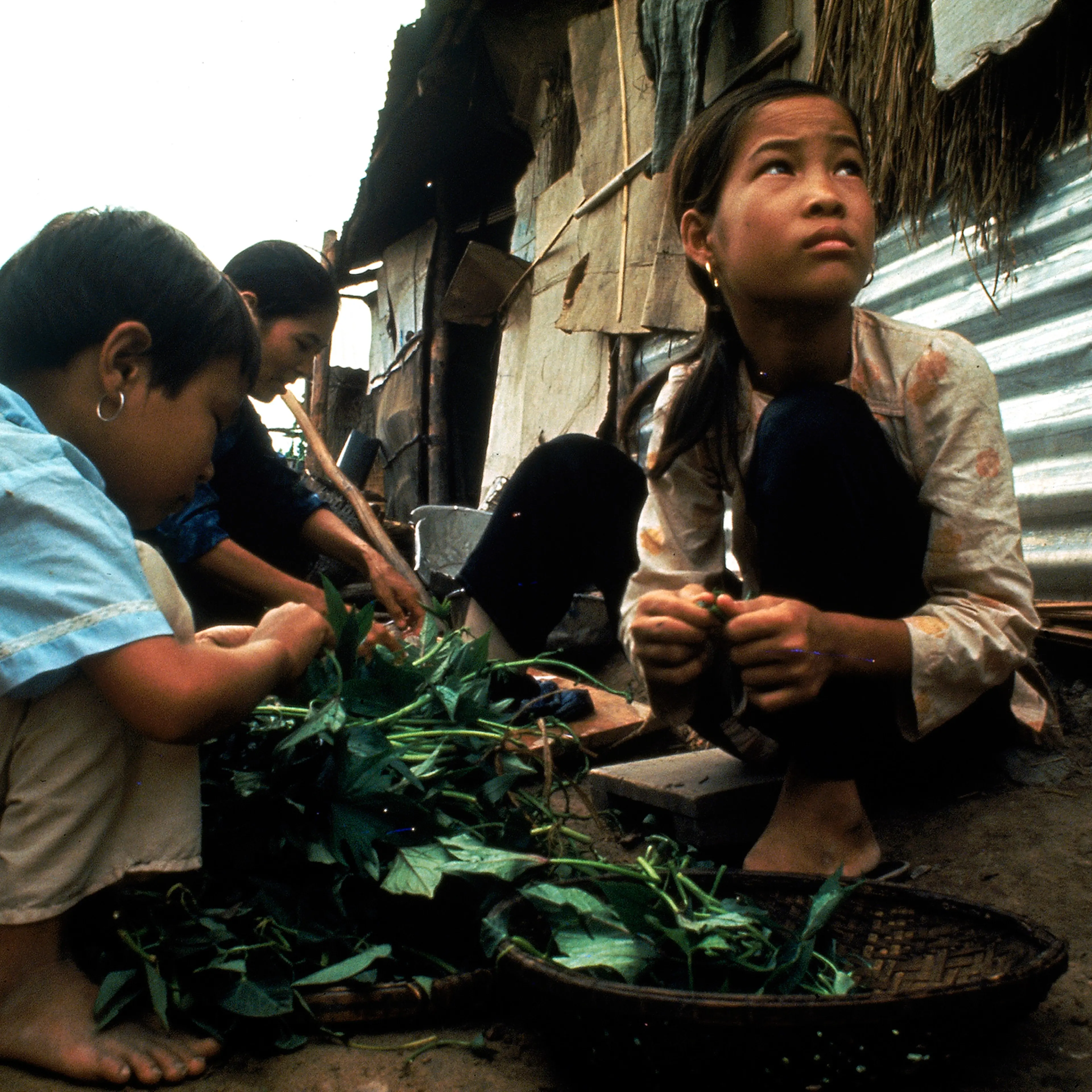 Vietnam war 1968 Larry Burrows photo essay "This Girl Tron."