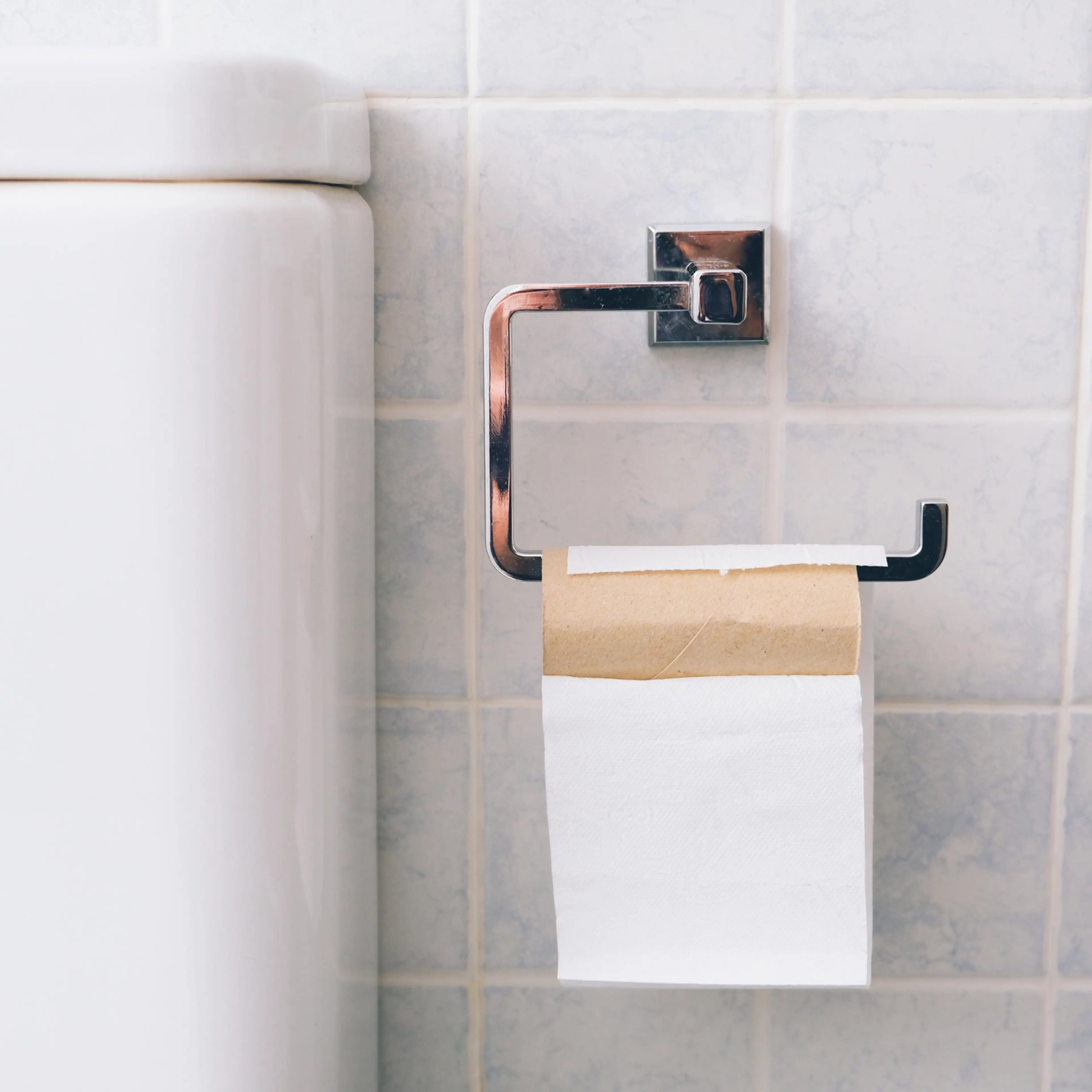 Toilet paper roll