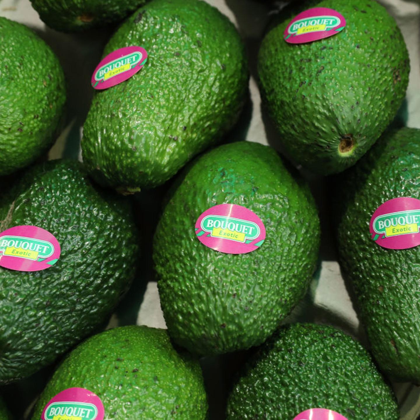 Fruit Logistica Agricultural Trade Fair