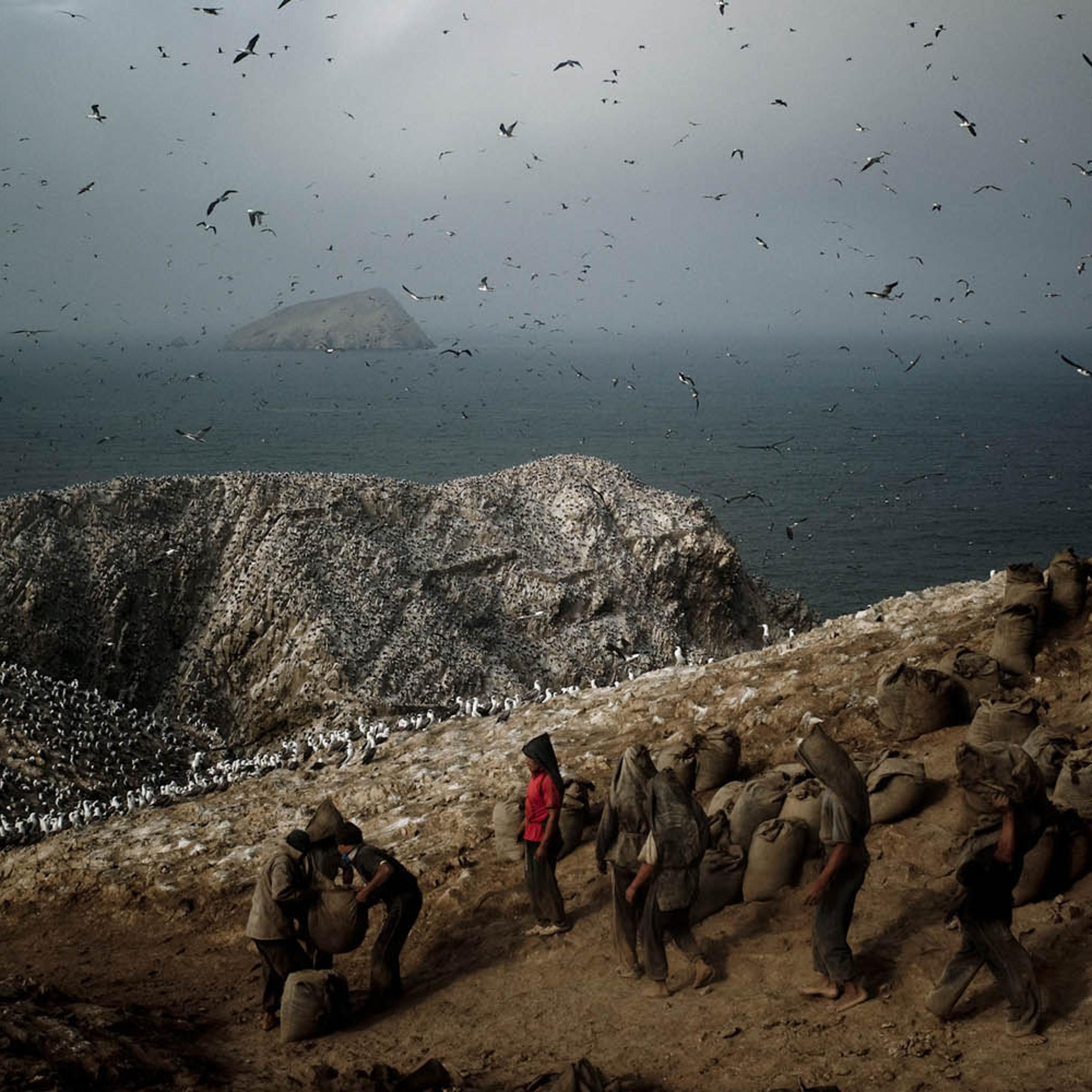 Porters wait for a sack of guano to carry, Guañape Norte Island in the coast off Peru, May 2008. Photo/Tomas Munita