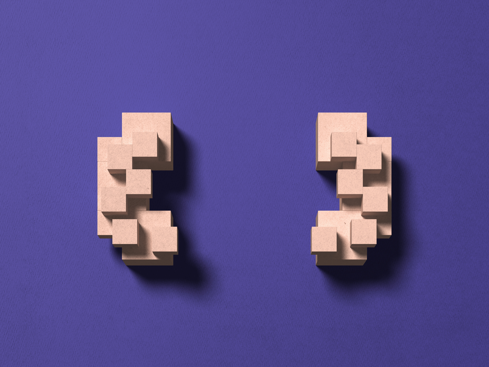 Paper craft Kidney