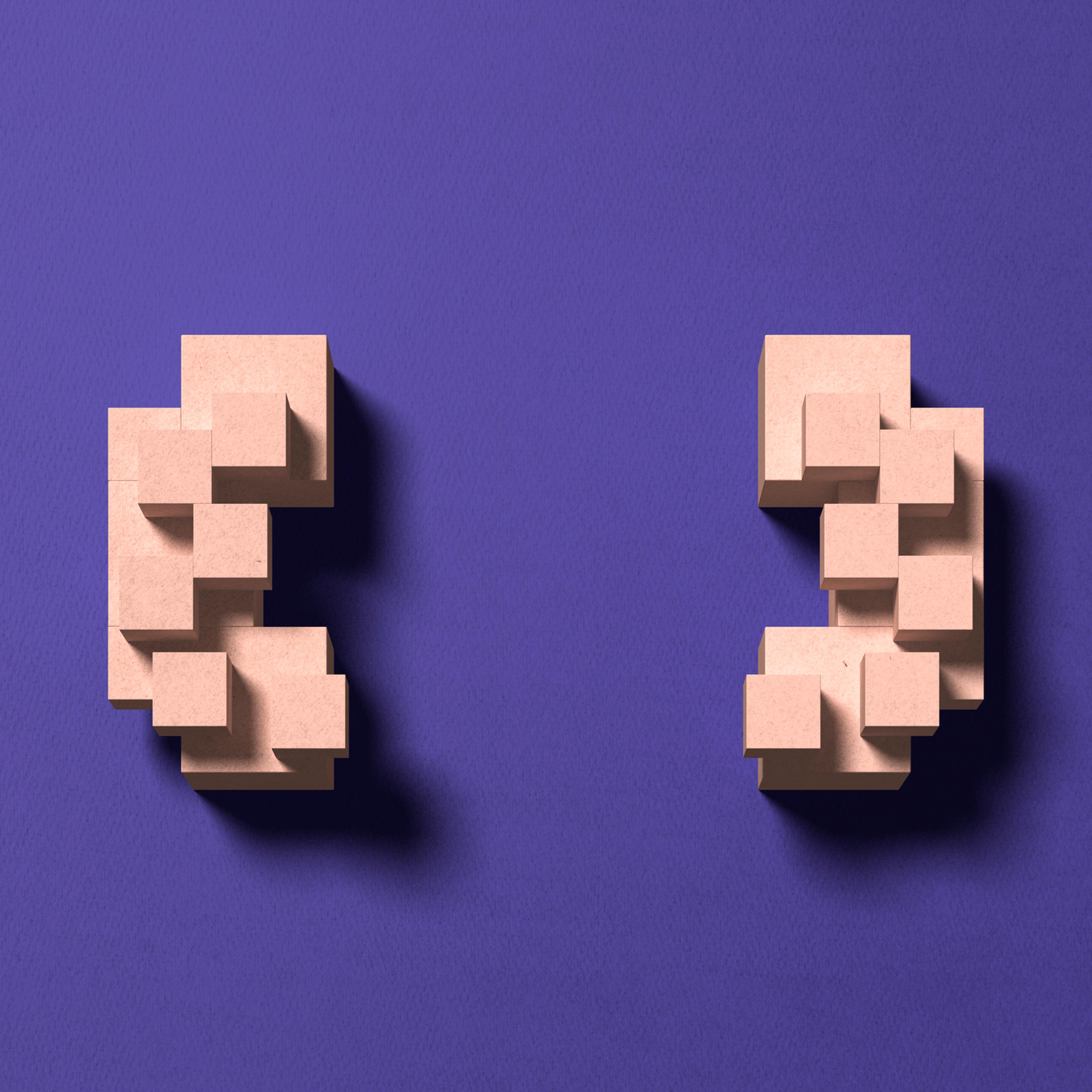 Paper craft Kidney