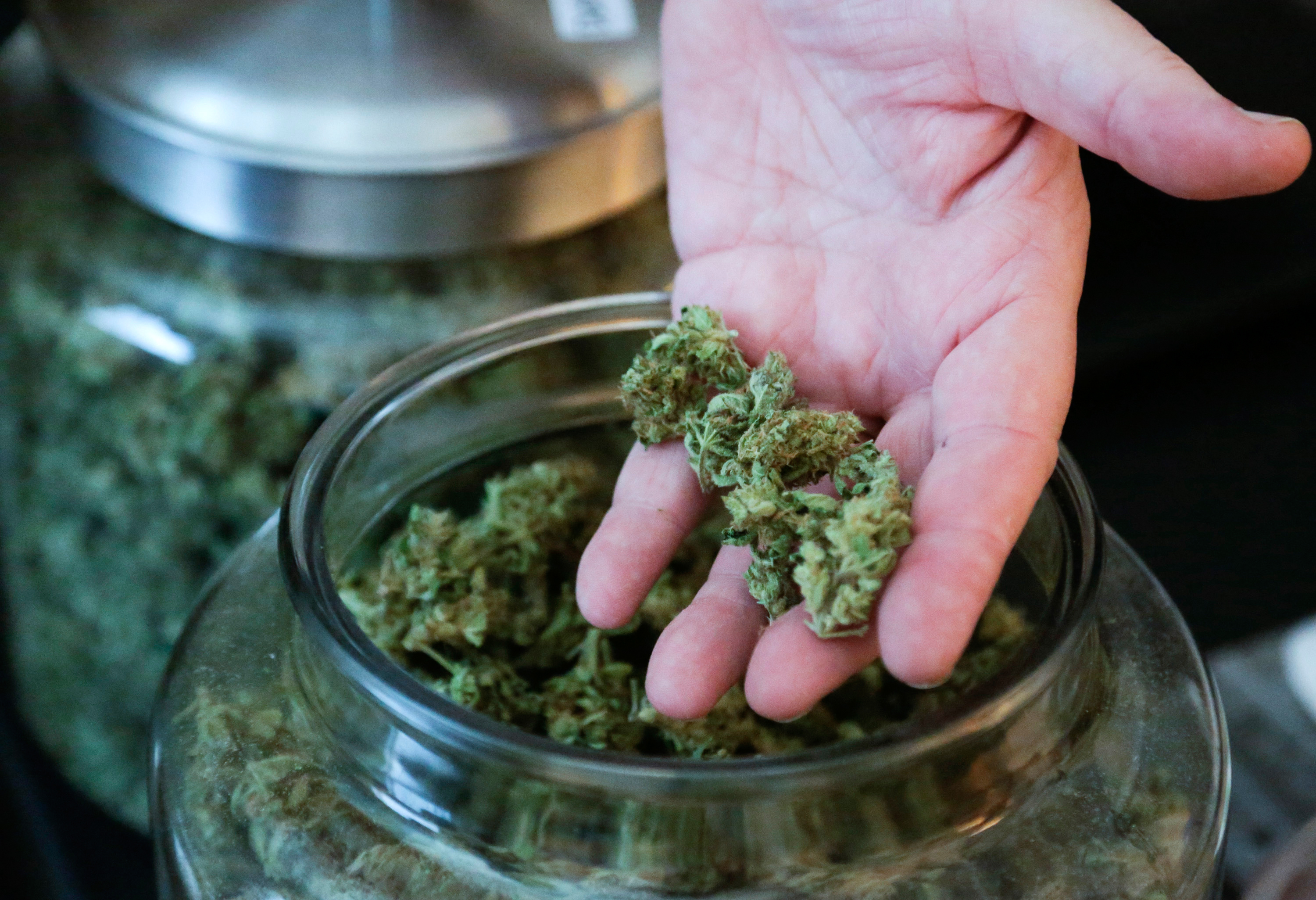 140708_EM_LegalWeed_2