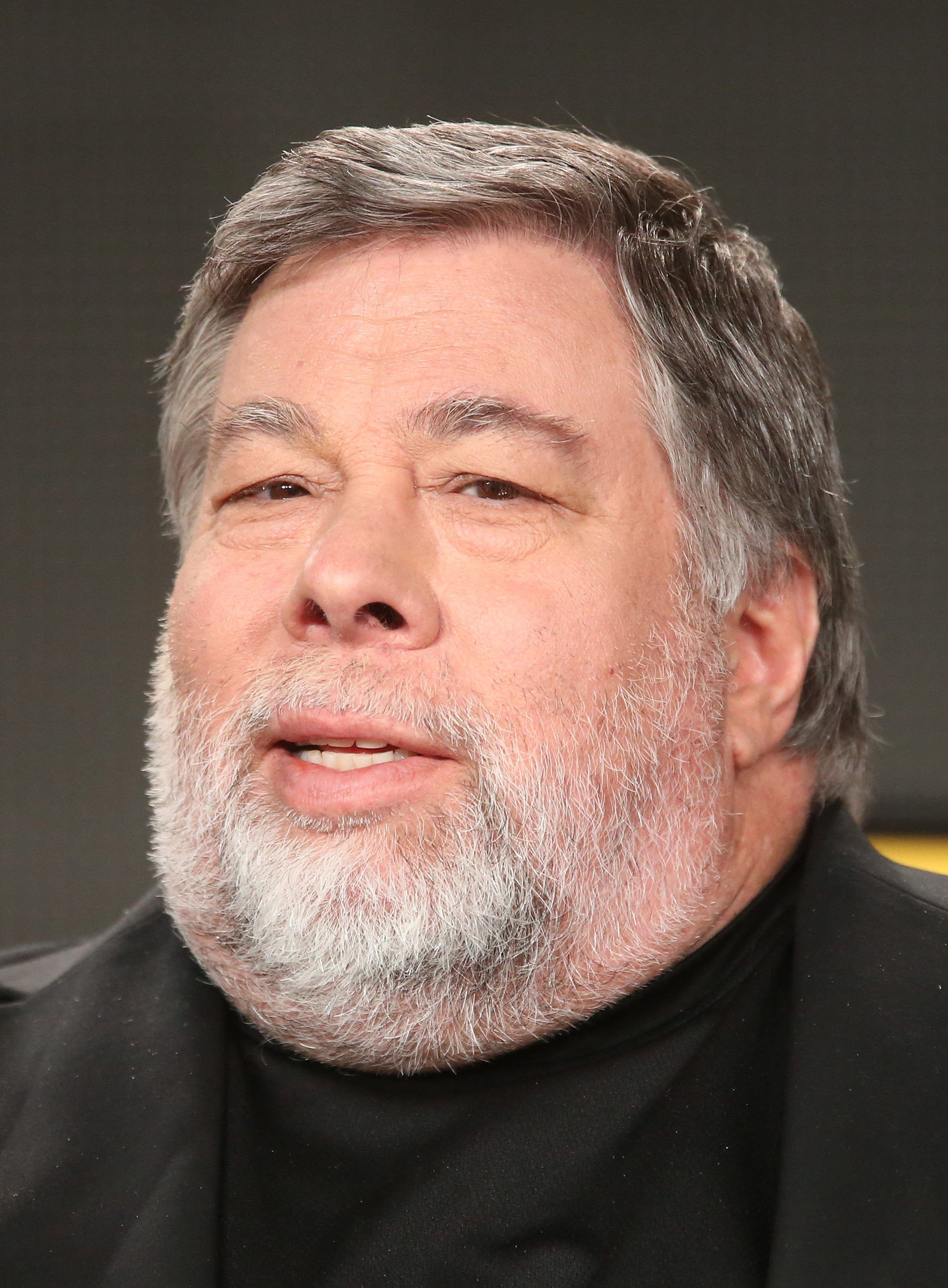 Steve Wozniak, co-founder of Apple, speaks onstage during the National Geographic Channel's 'American Genius' panel at the 2015 Winter Television Critics Association press tour at the Langham Huntington Hotel & Spa on Jan. 7, 2015 in Pasadena, California