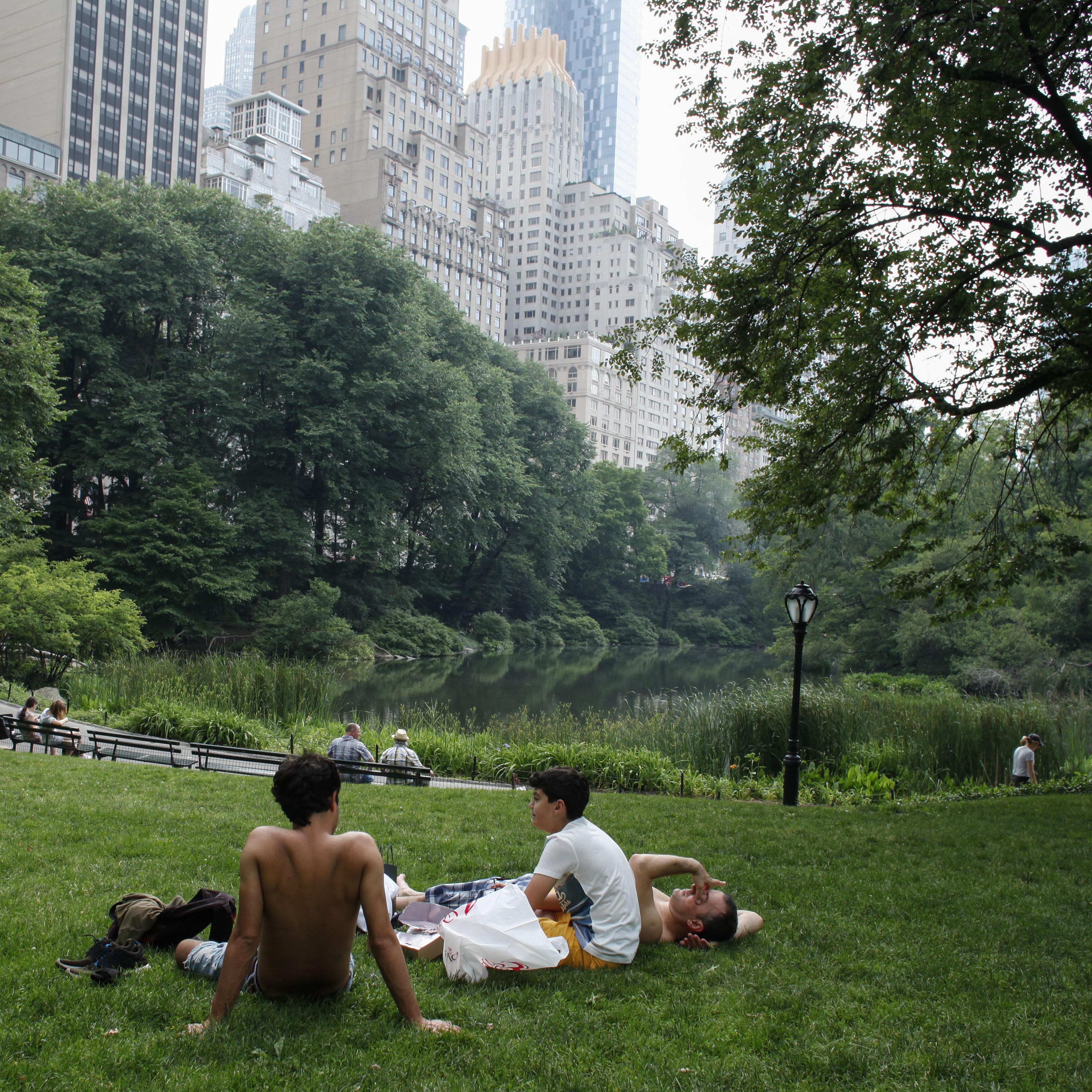 People gather in in Central Park as temperatures in Manhattan hit 90 degrees F (32C) for the first time in 2015, in New York City on June 11, 2015.