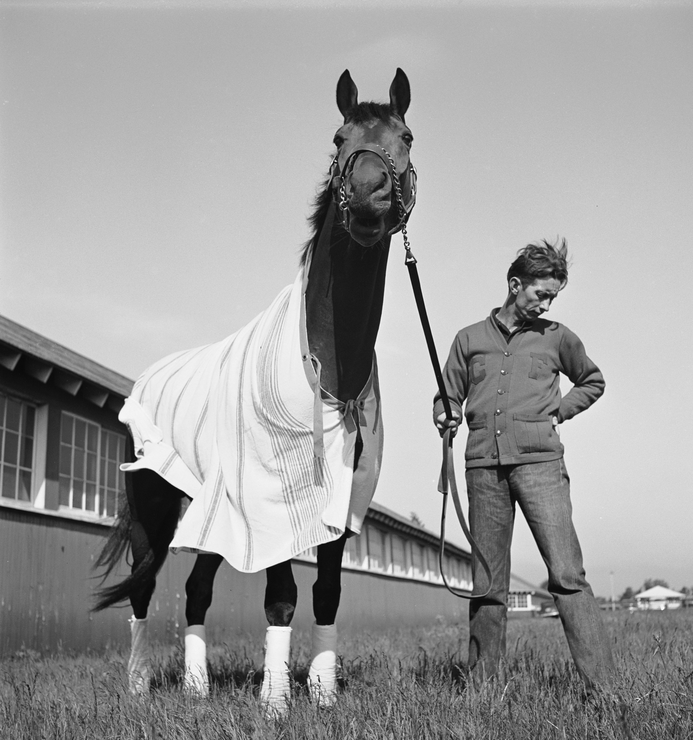 1948 Triple Crown Winner Citation