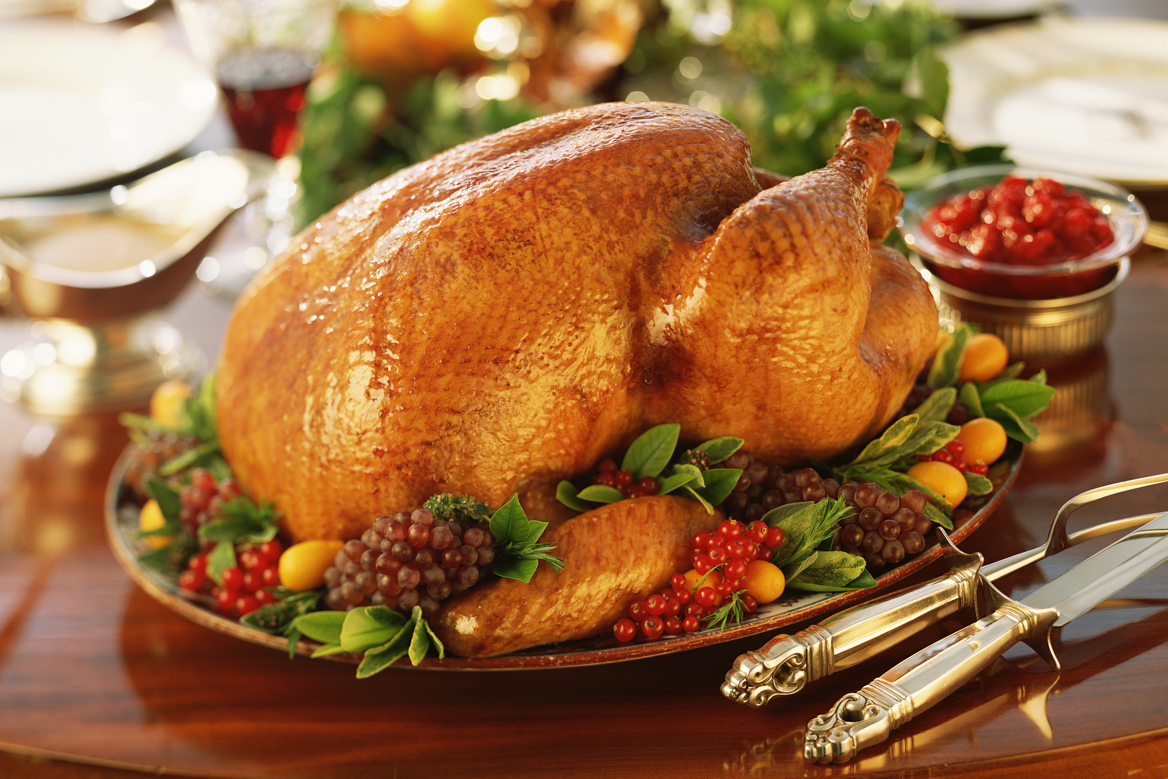 Holiday roasted turkey