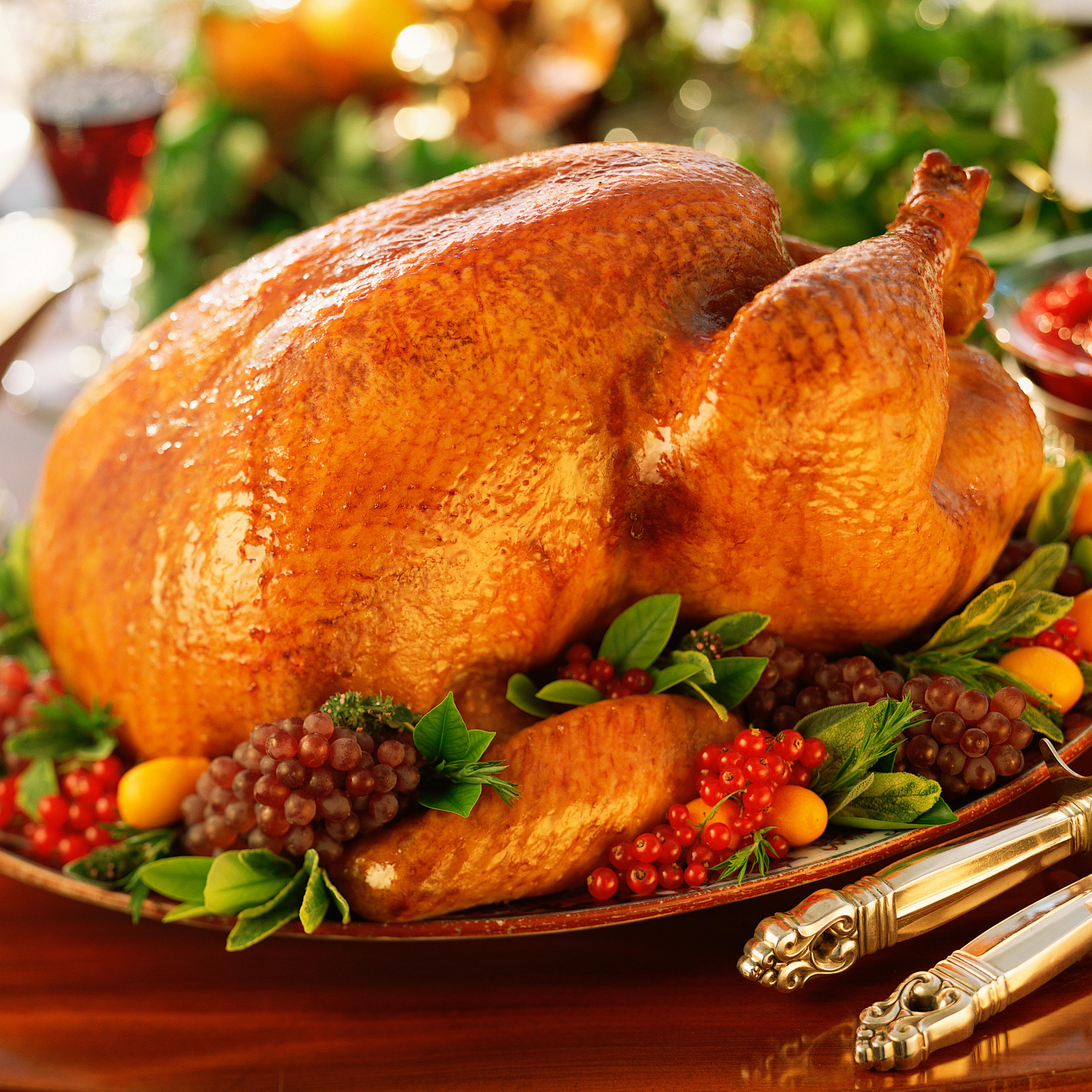 Holiday roasted turkey