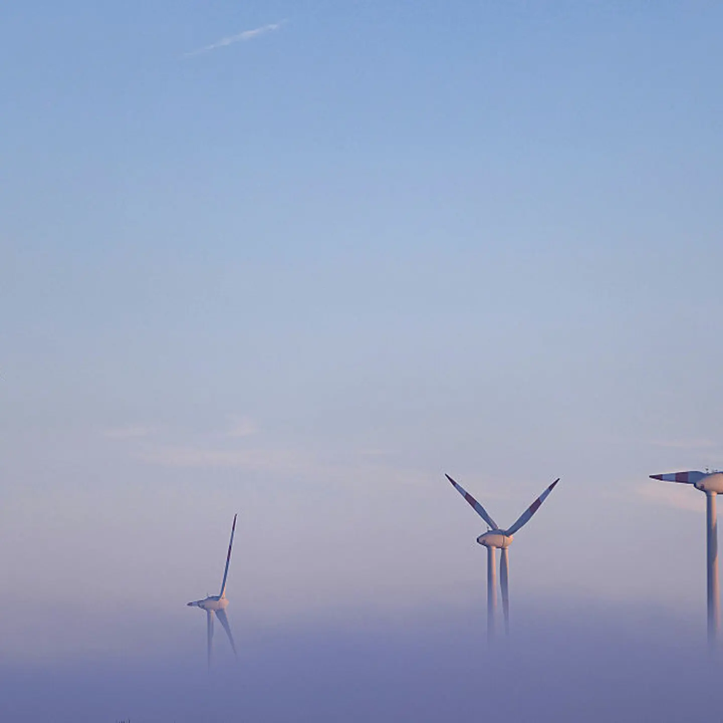 Wind turbines in a field surrounded by fog near Erxleben, Germany, Dec. 12, 2025.