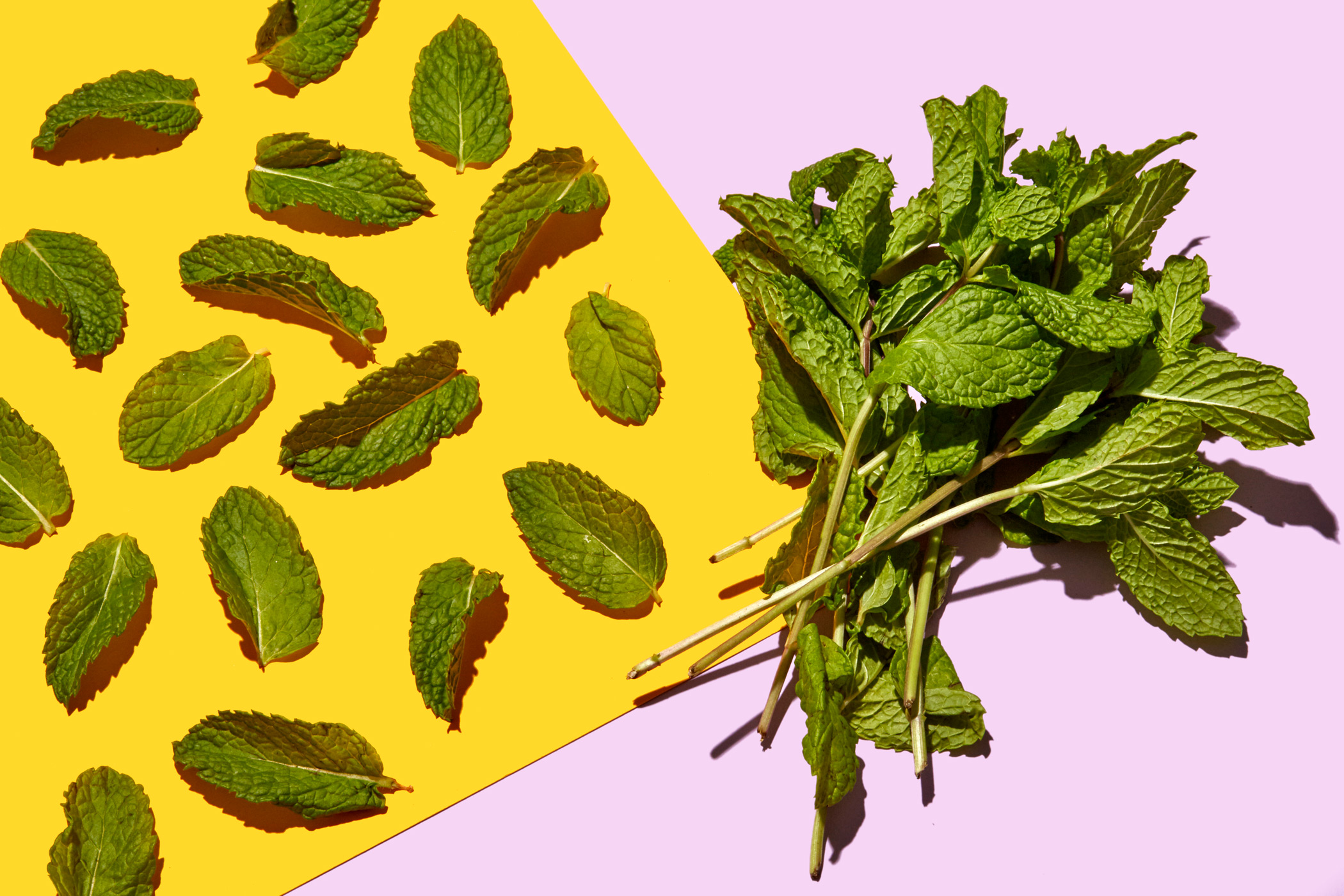 healthiest foods, health food, diet, nutrition, time.com stock, herb