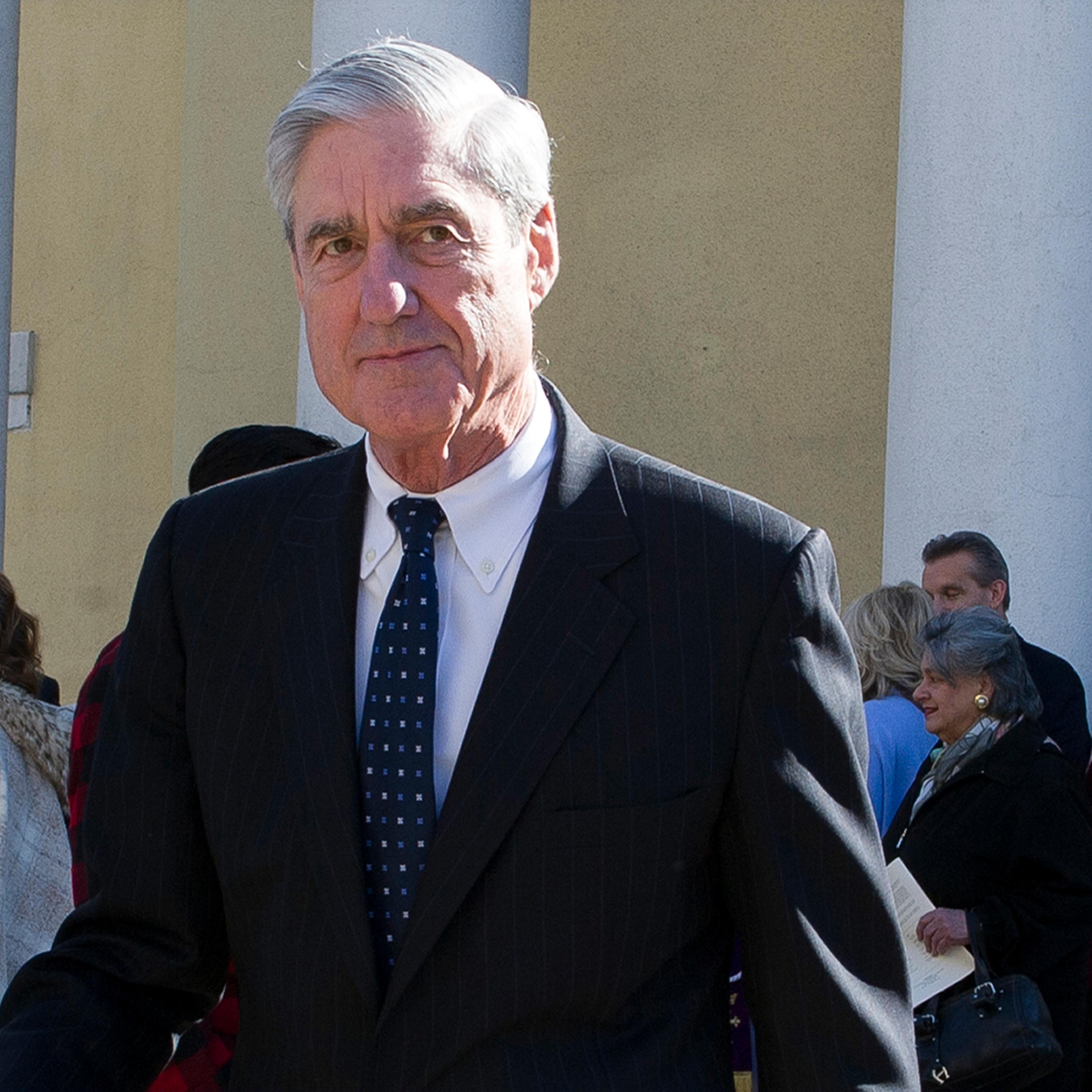 Mueller The Evidence