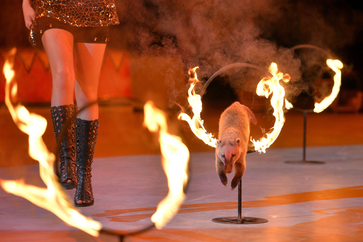TOPSHOTS-UKRAINE-ENTERTAINMENT-CIRCUS